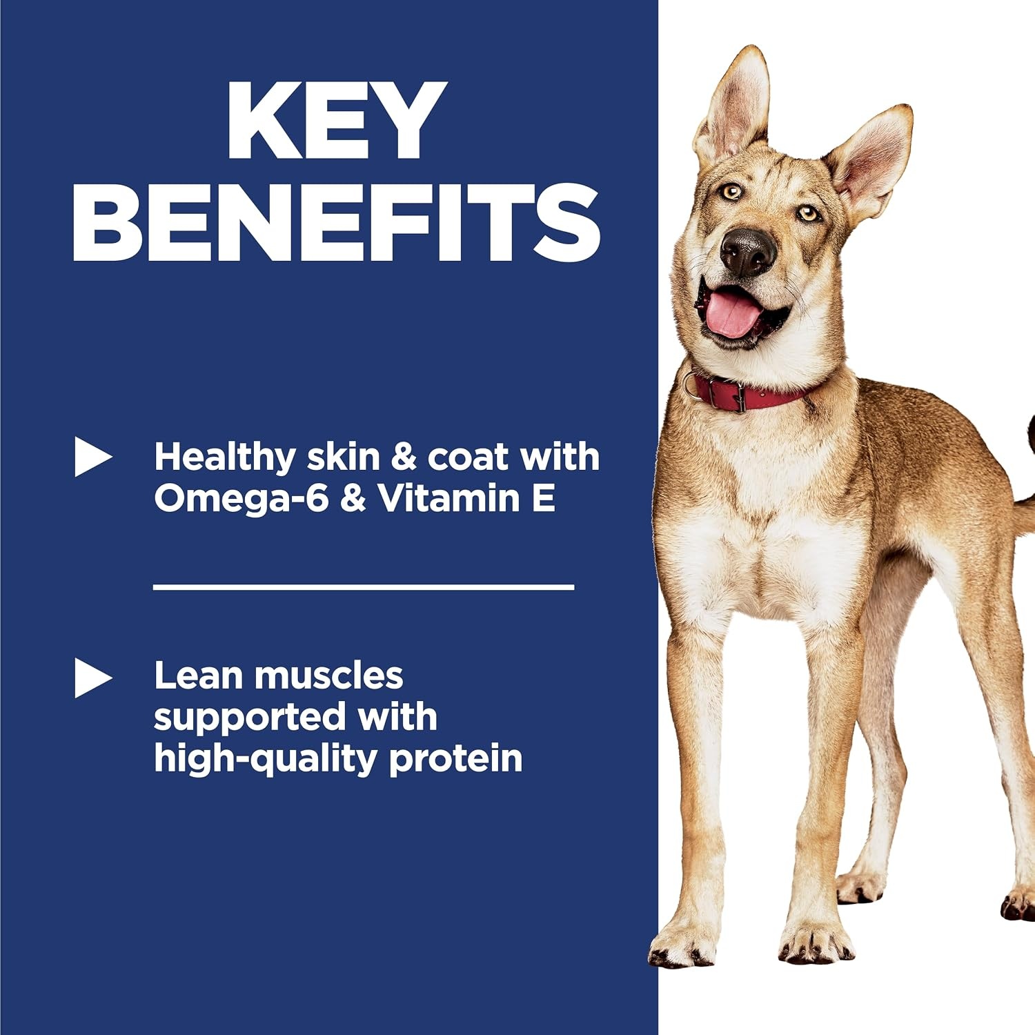 image:imageHills Science Diet Adult 16 Dry Dog Food Chicken amp Barley 15 lb BagChicken Barley