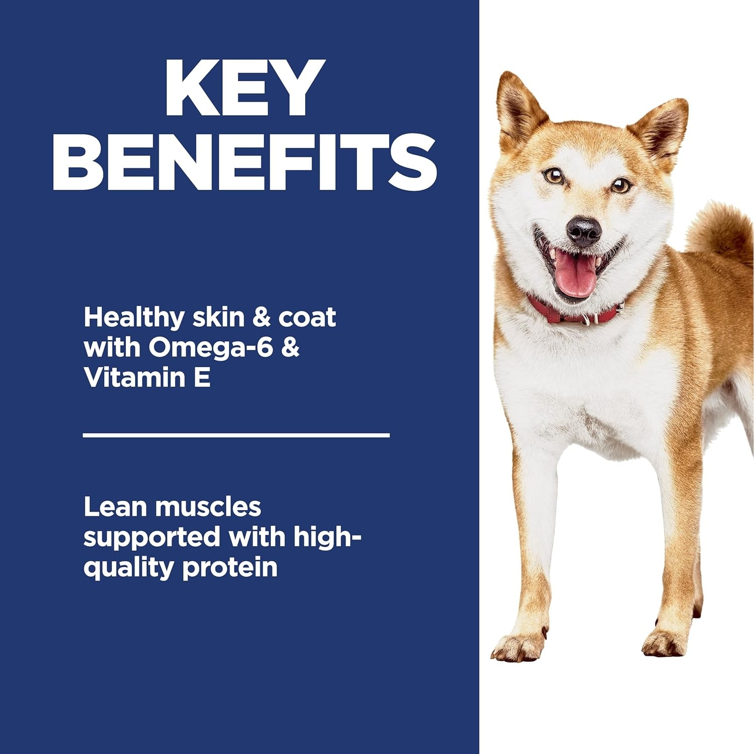 image:imageHills Science Diet Adult 16 Dry Dog Food Salmon amp Brown Rice 33 lb BagChicken