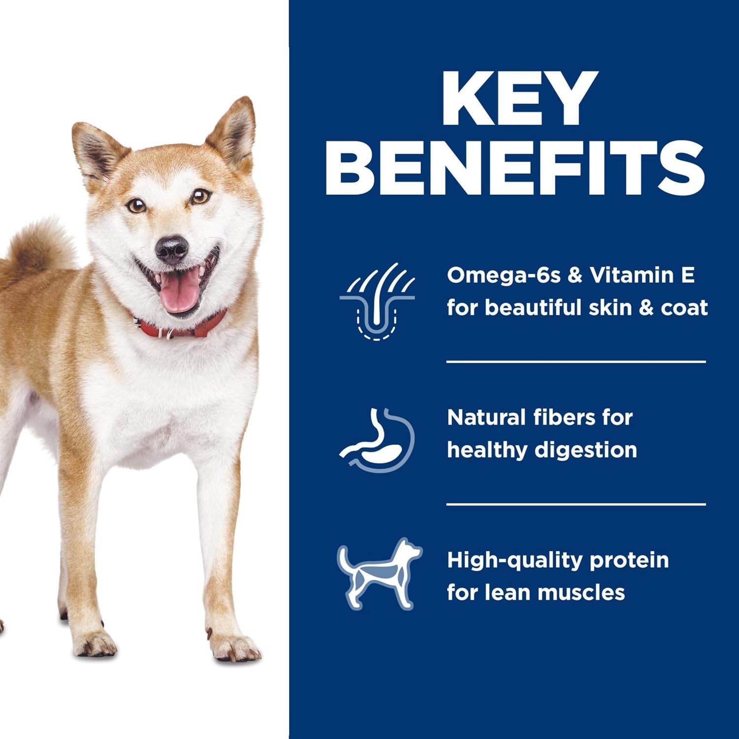 image:imageHills Science Diet Adult 16 Dry Dog Food Salmon amp Brown Rice 33 lb BagChicken