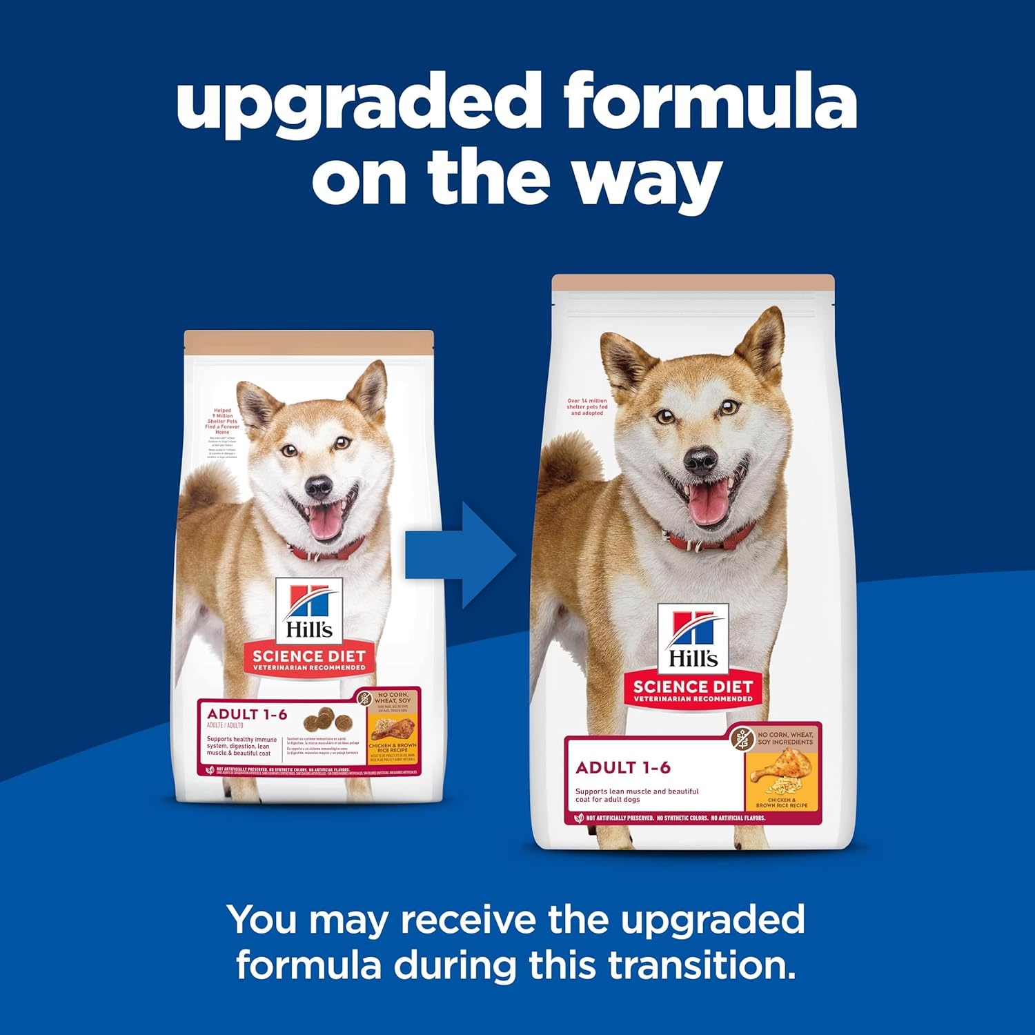 image:imageHills Science Diet Adult 16 Dry Dog Food Salmon amp Brown Rice 33 lb BagChicken