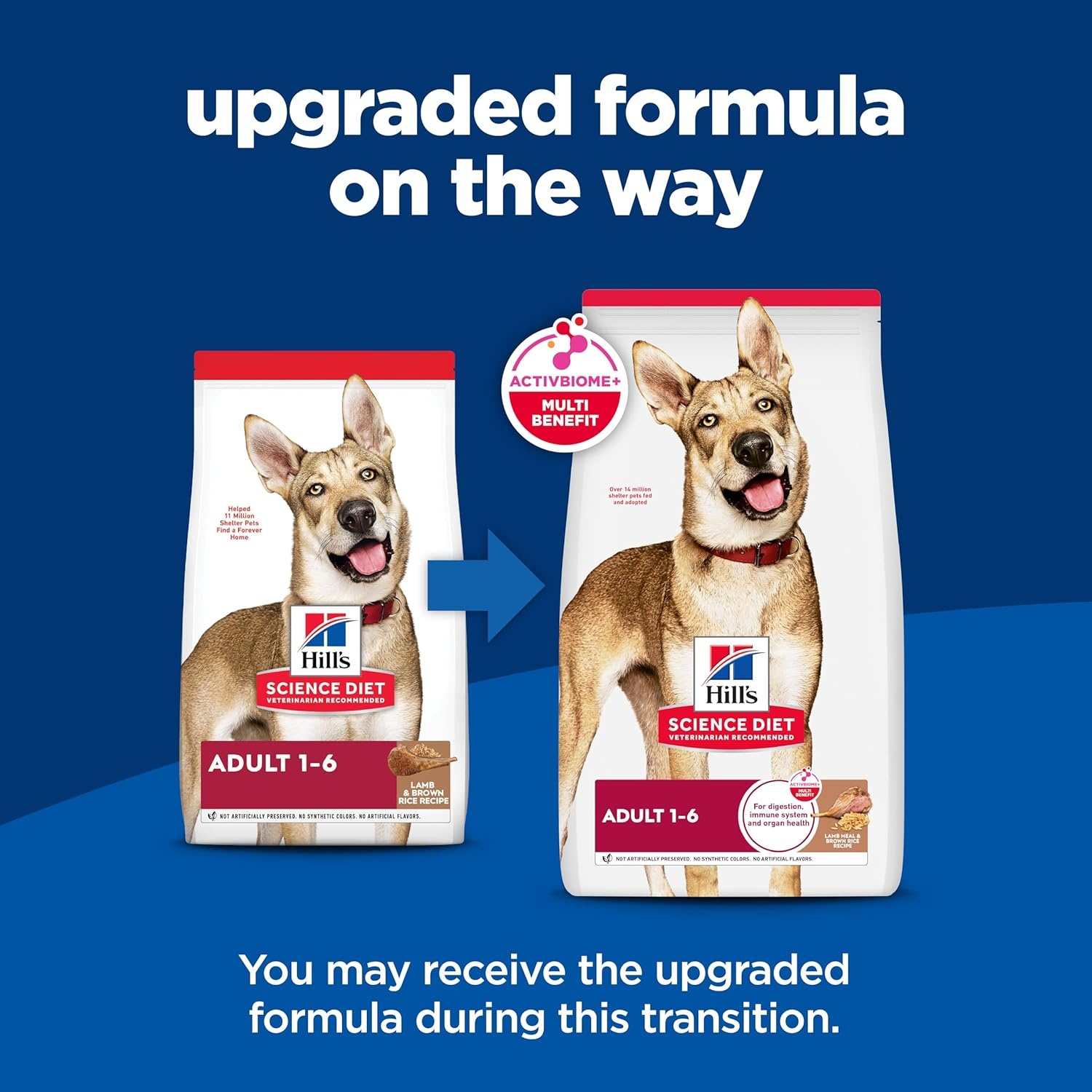 image:imageHills Science Diet Adult 16 Dry Dog Food Salmon amp Brown Rice 33 lb BagLamb