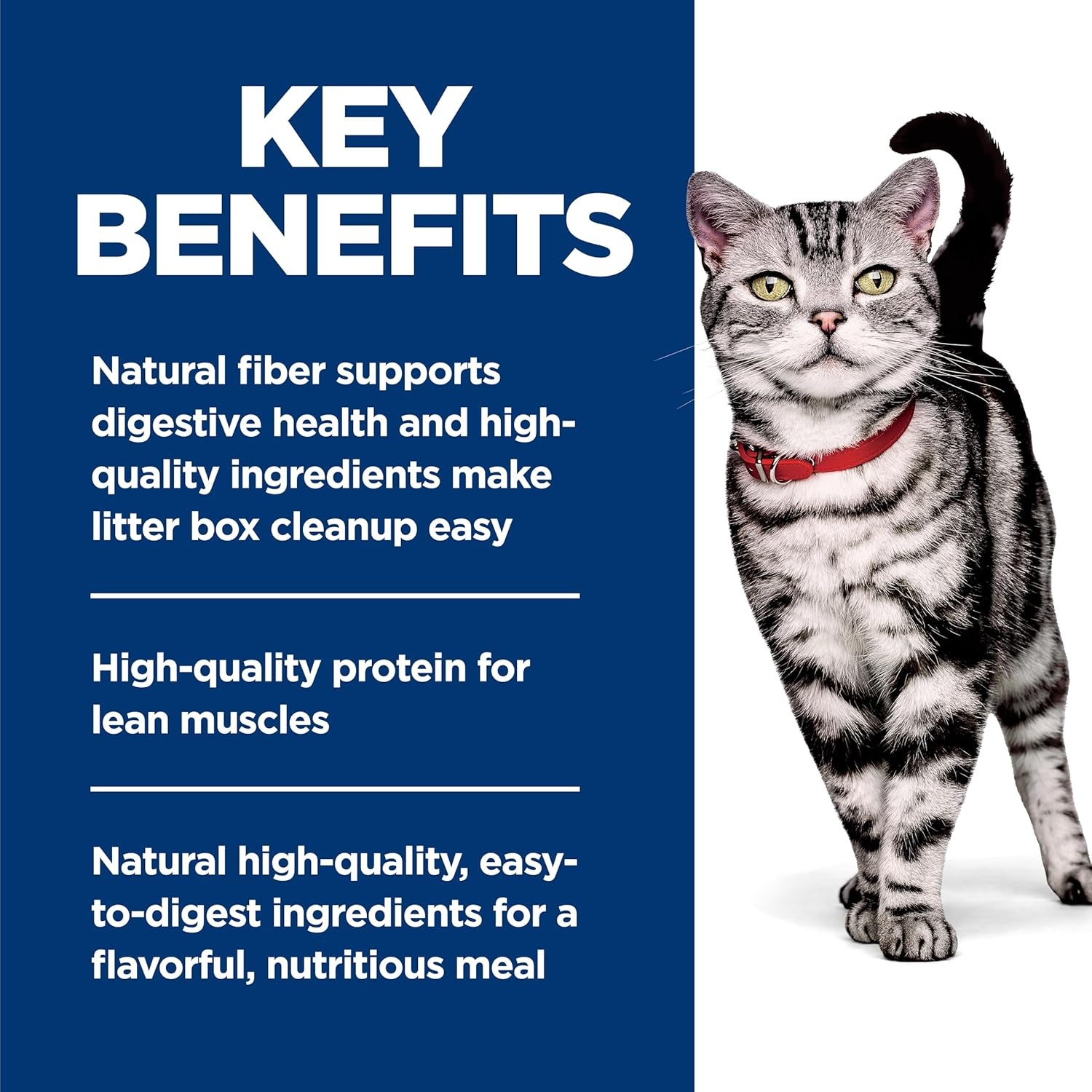 image:imageHills Science Diet Adult 16 Indoor Wet Cat Food Chicken 55 oz Cans 24PackSalmon Vegetables Stew