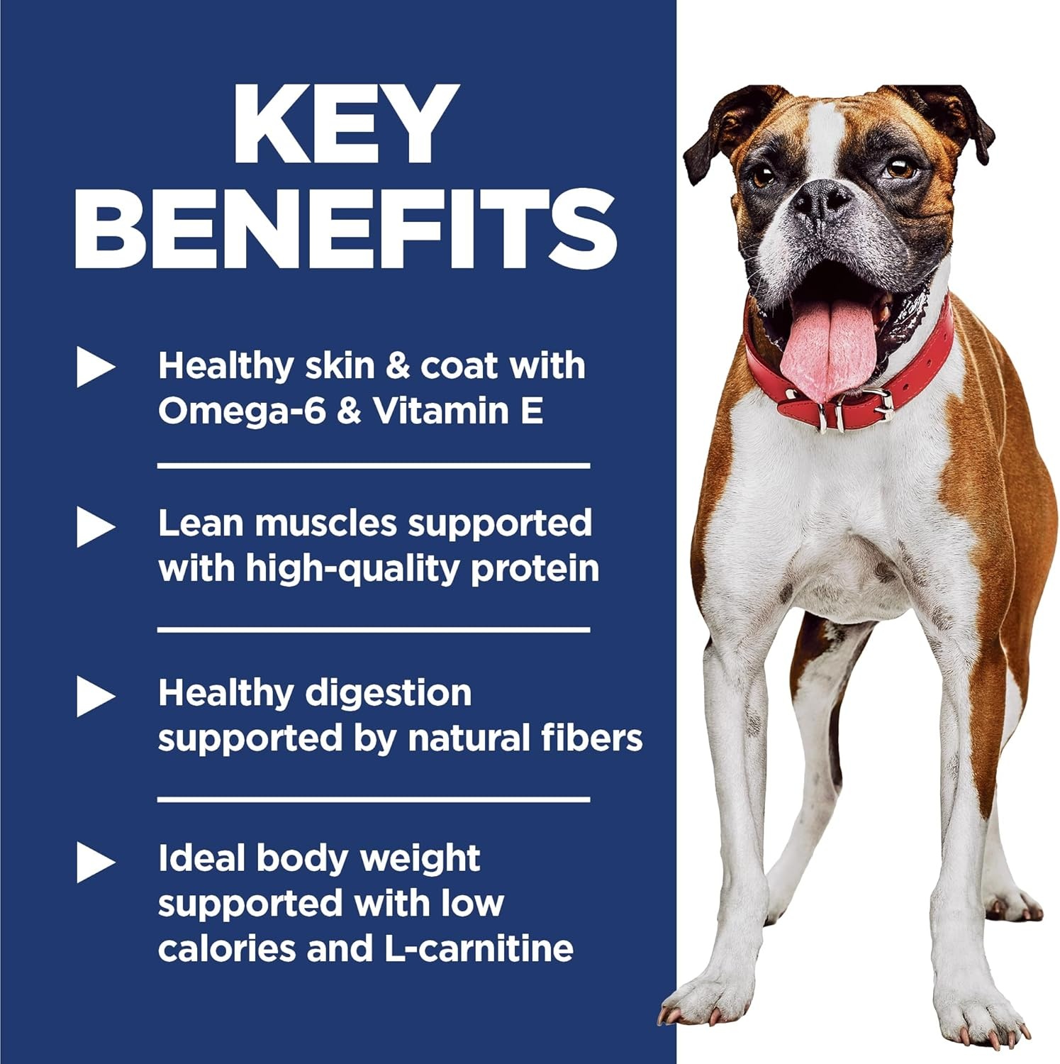 image:imageHills Science Diet Adult 16 Light Dry Dog Food Chicken Meal amp Barley 30 lb BagChicken Barley