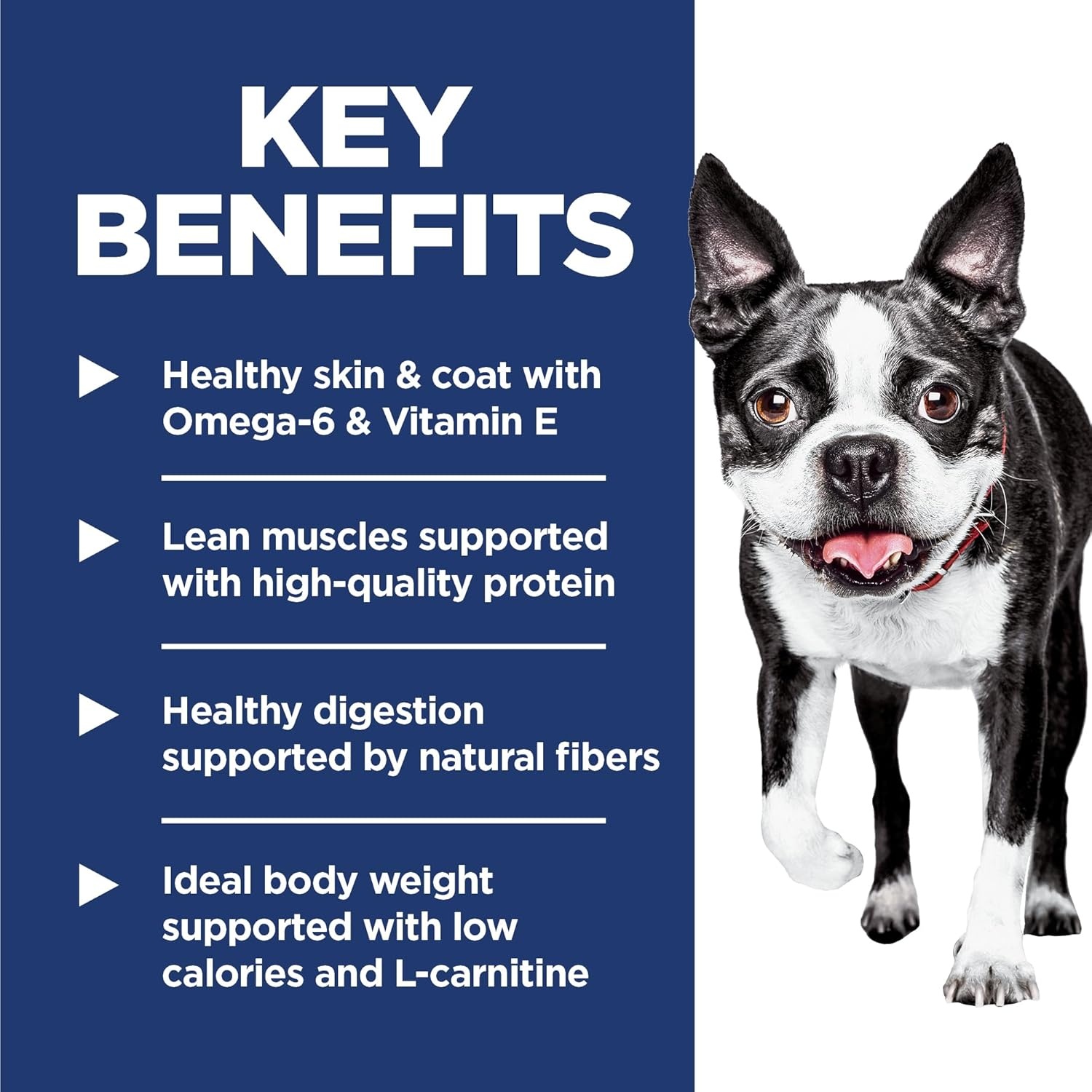 image:imageHills Science Diet Adult 16 Light Small Bites Dry Dog Food Chicken Meal amp Barley 5 lb BagChicken Barley