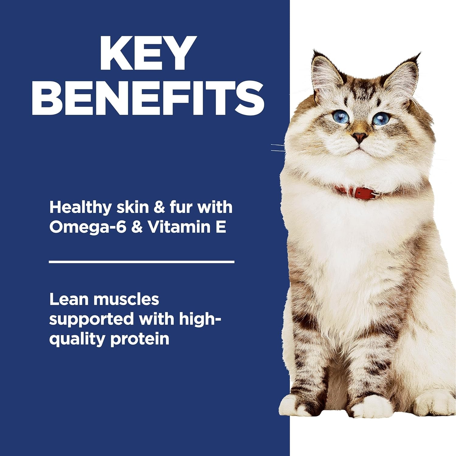image:imageHills Science Diet Adult 16 No Corn Wheat or Soy Dry Cat Food Chicken 7 lb BagNo Corn Wheat Soy Chicken Recipe