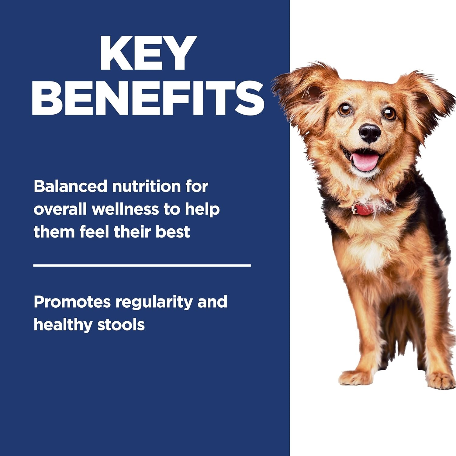 image:imageHills Science Diet Adult 16 Perfect Digestion Small amp Mini Dry Dog Food Chicken amp Brown Rice 12 lb BagChicken Brown Rice