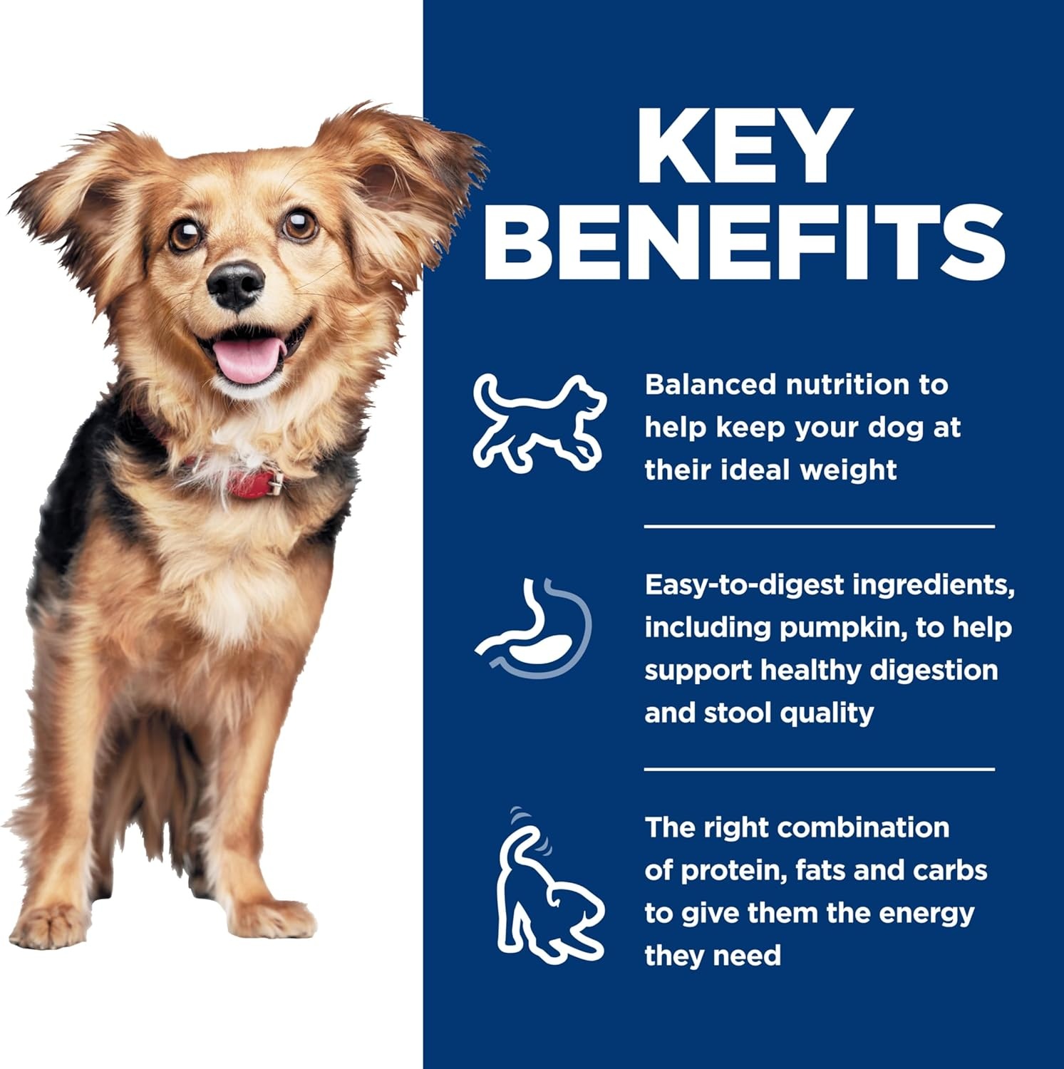 image:imageHills Science Diet Adult 16 Perfect Digestion Small amp Mini Wet Dog Food Chicken amp Vegetables 58 oz Cans 24Pack