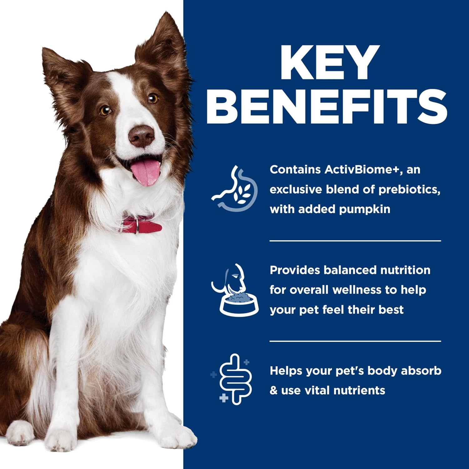 image:imageHills Science Diet Adult 16 Perfect Digestion Wet Dog Food Chicken Vegetable amp Rice 128 oz Cans 12PackChicken Vegetable Rice Stew