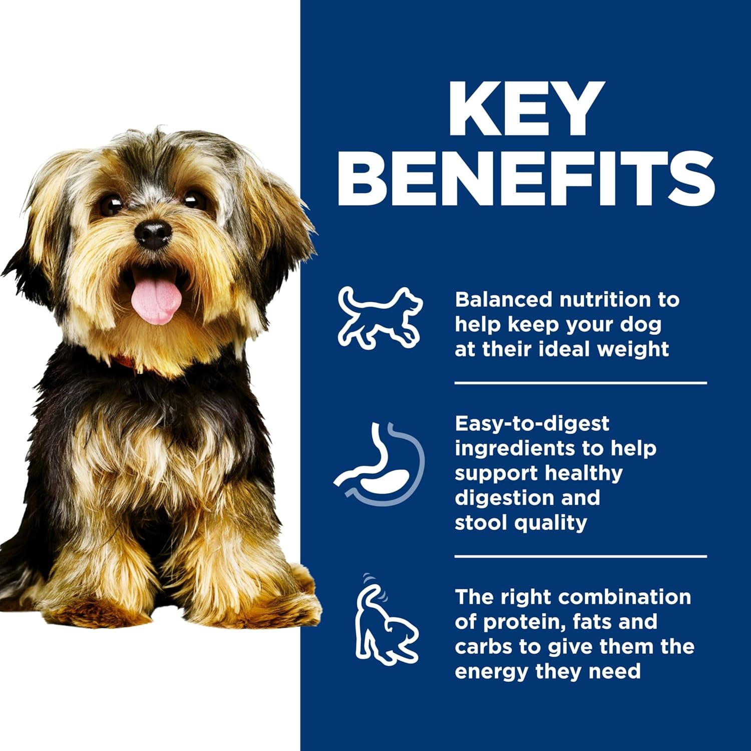 image:imageHills Science Diet Adult 16 Small amp Mini Wet Dog Food Chicken amp Barley 58 oz Cans 24PackBeef Barley Loaf