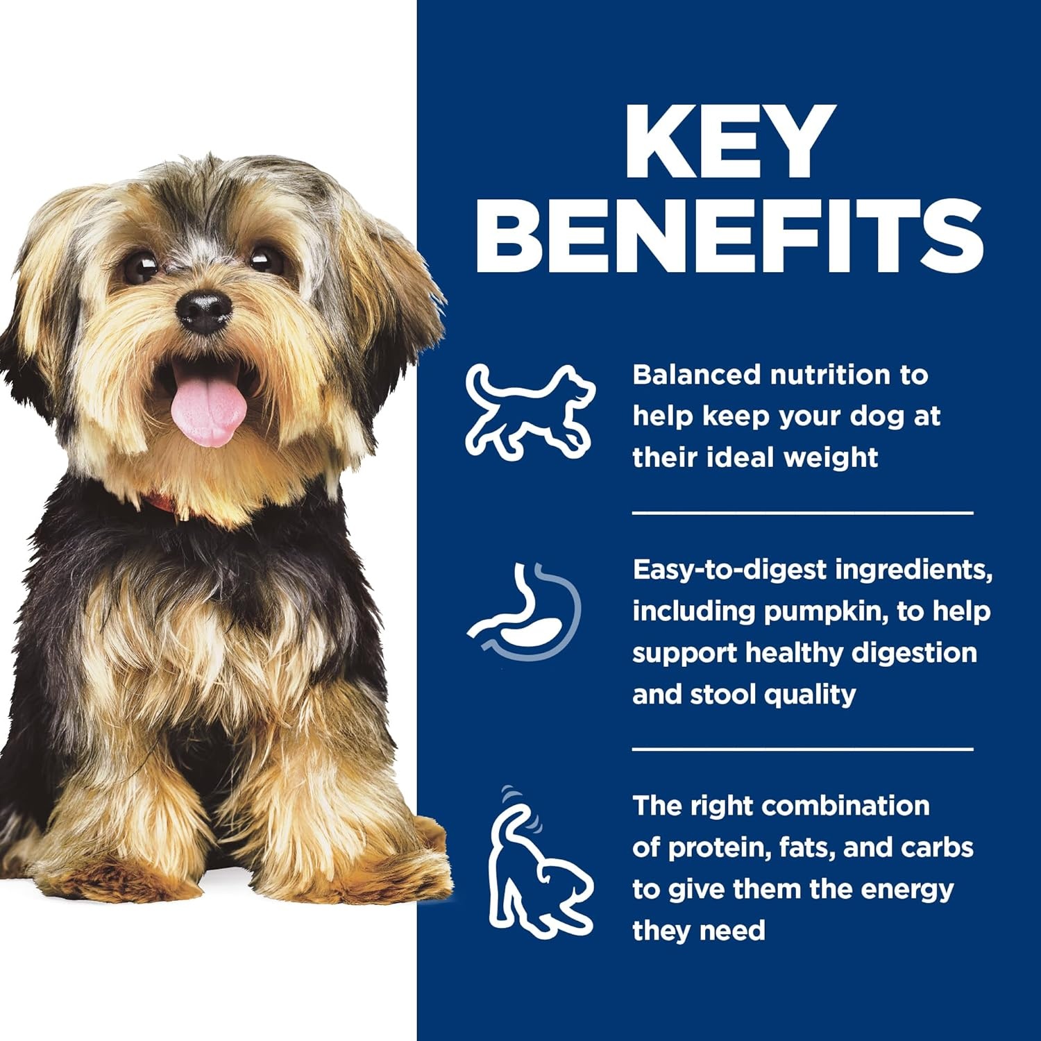 image:imageHills Science Diet Adult 16 Small amp Mini Wet Dog Food Chicken amp Barley 58 oz Cans 24PackChicken Barley