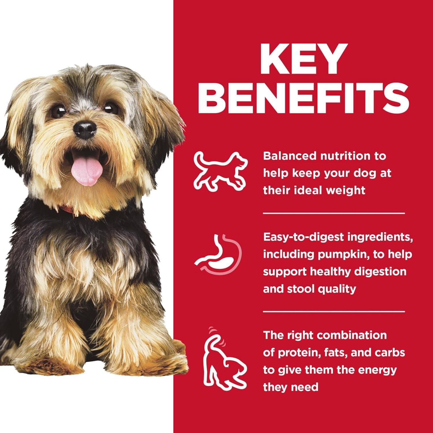 image:imageHills Science Diet Adult 16 Small amp Mini Wet Dog Food Chicken amp Vegetables 35 oz Trays 12PackChicken Vegetables Stew