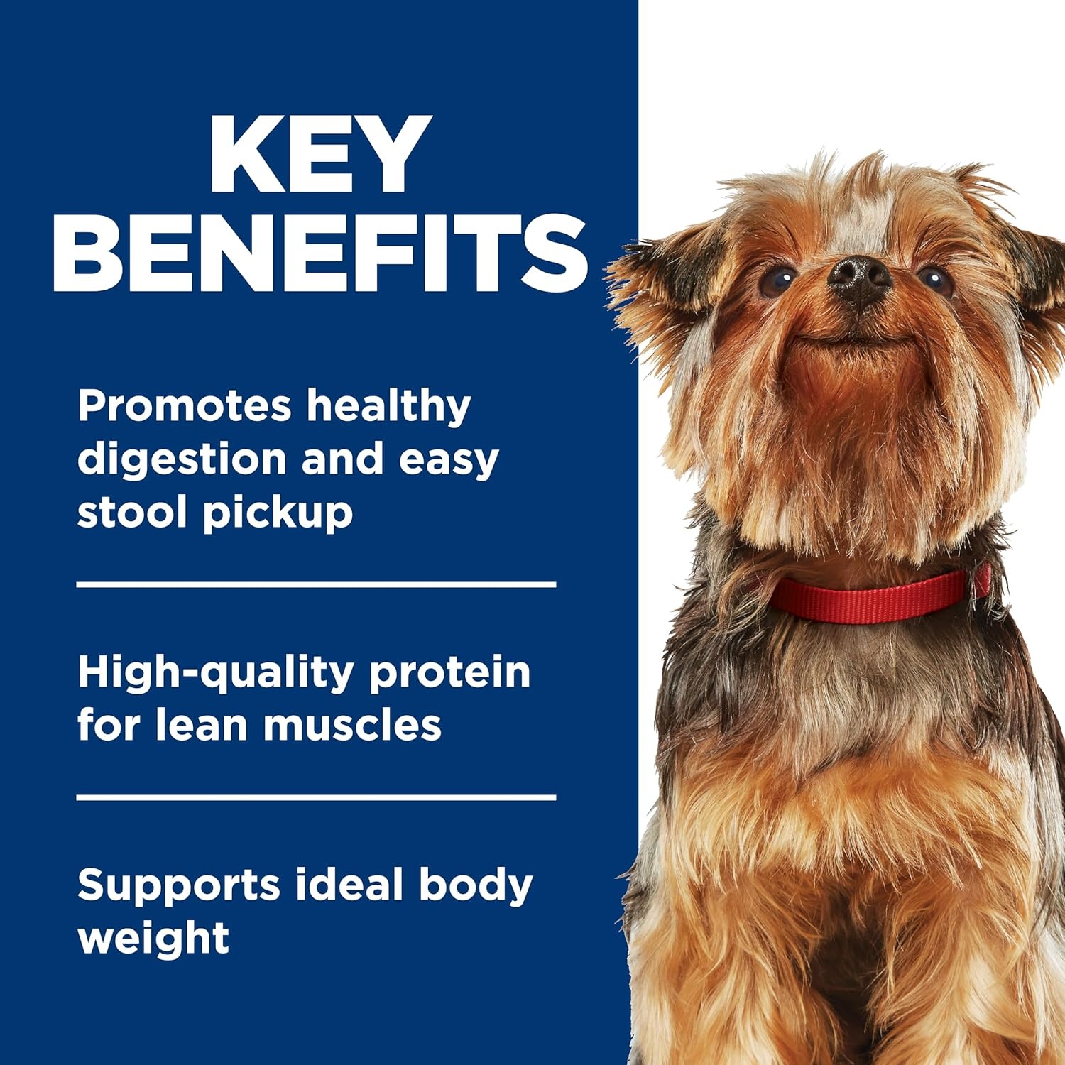 image:imageHills Science Diet Adult 16 Small amp Mini Wet Dog Food Chicken amp Vegetables 35 oz Trays 12PackVariety Pack Chicken Beef