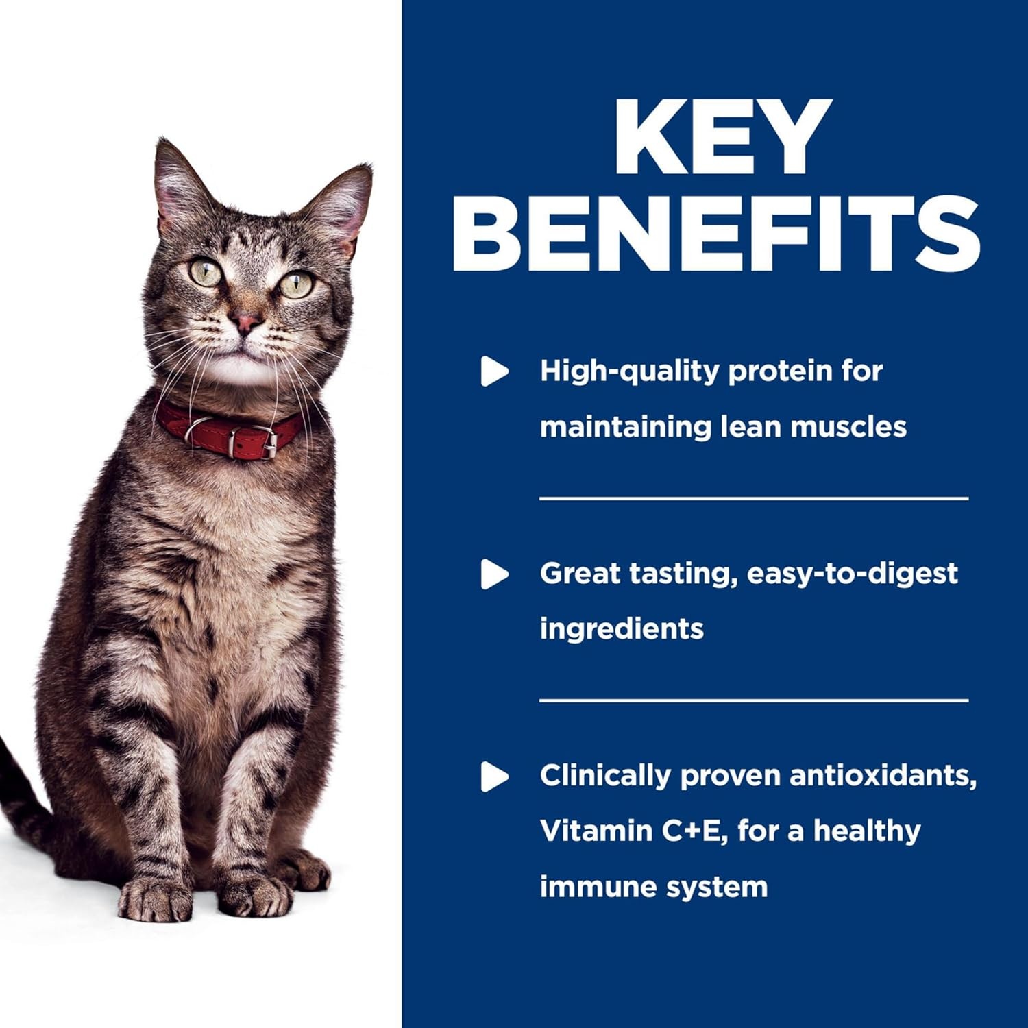 image:imageHills Science Diet Adult 16 Wet Cat Food Tuna 28 oz Pouches 24PackChicken Casserole Stew