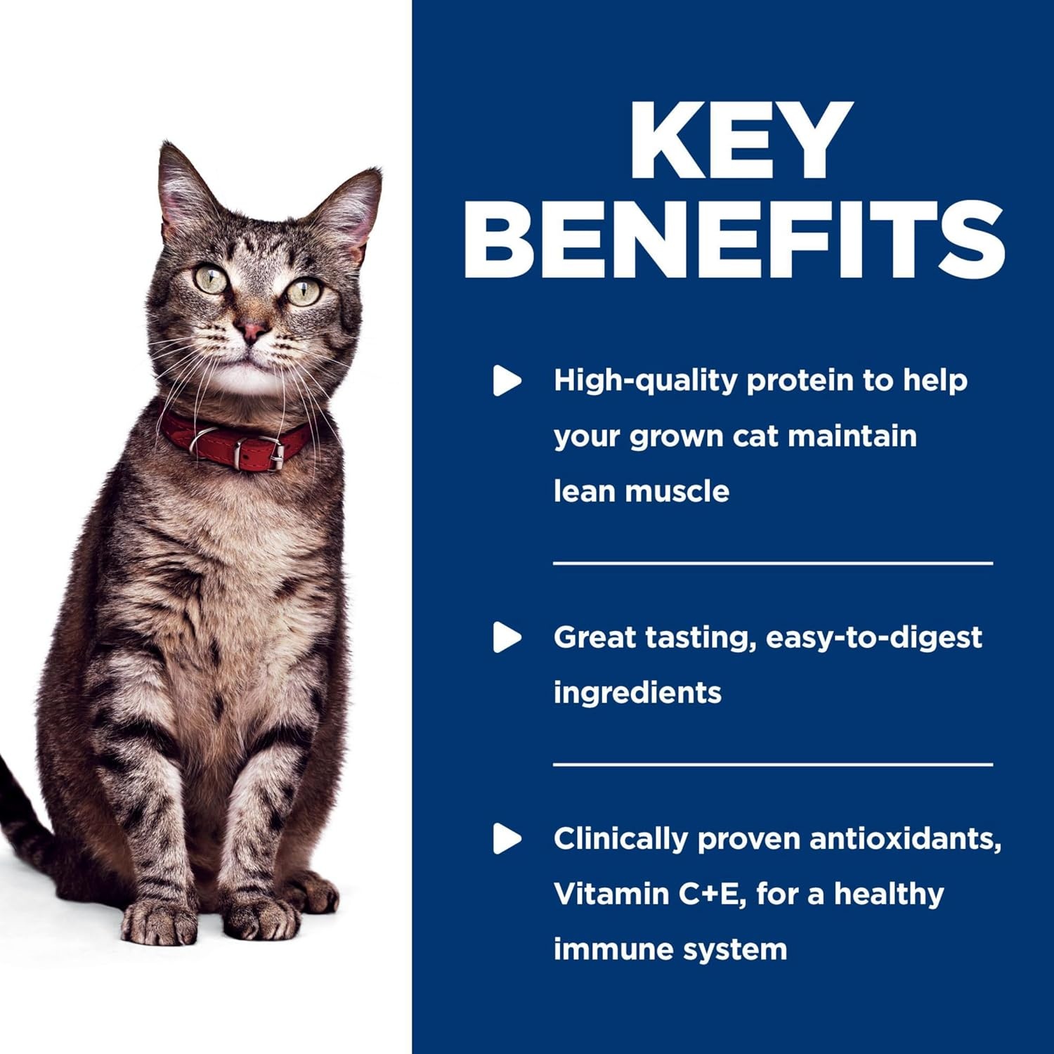 image:imageHills Science Diet Adult 16 Wet Cat Food Tuna 28 oz Pouches 24PackOcean Fish Stew