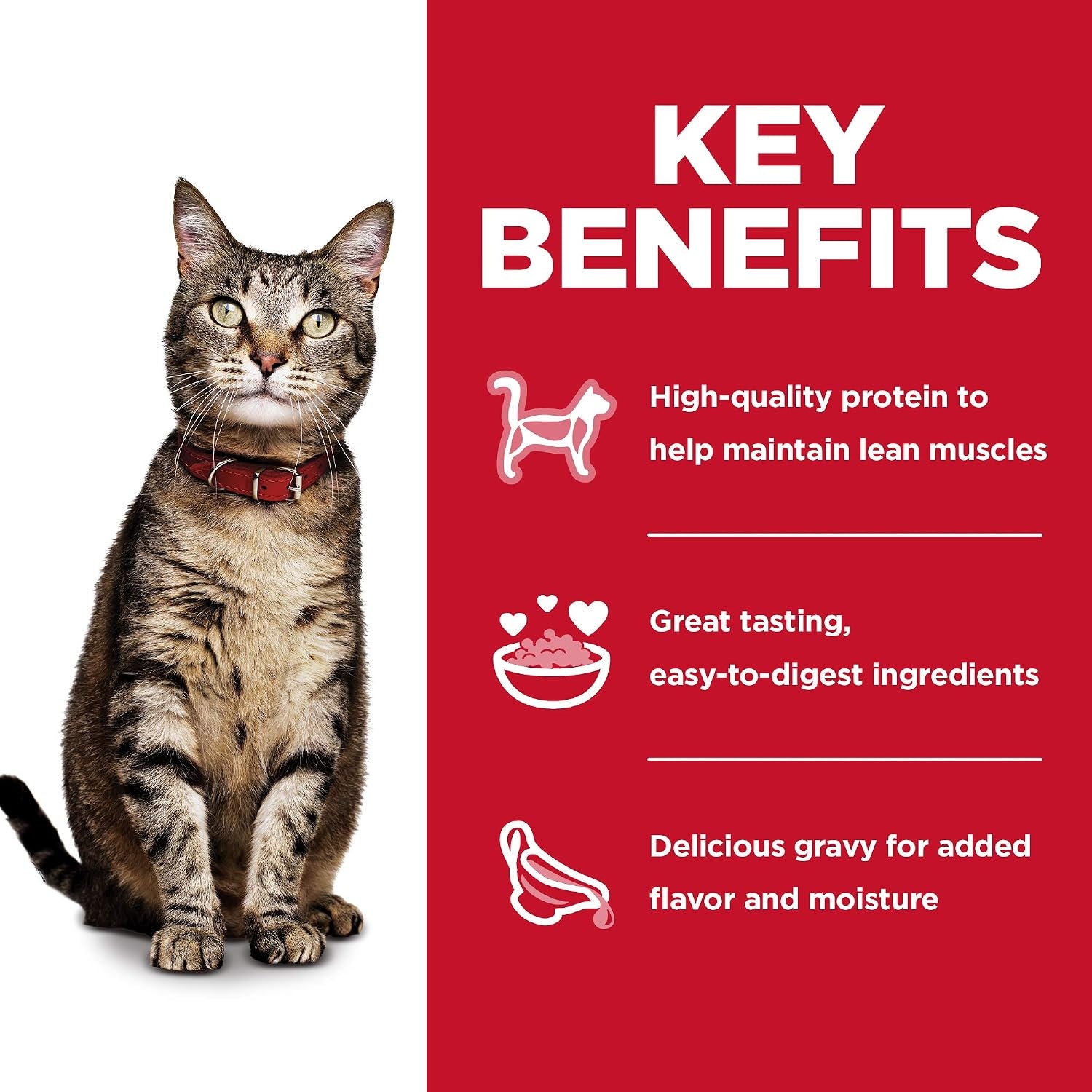 image:imageHills Science Diet Adult 16 Wet Cat Food Tuna 28 oz Pouches 24PackVariety Pack Tuna Chicken Ocean Fish Stew