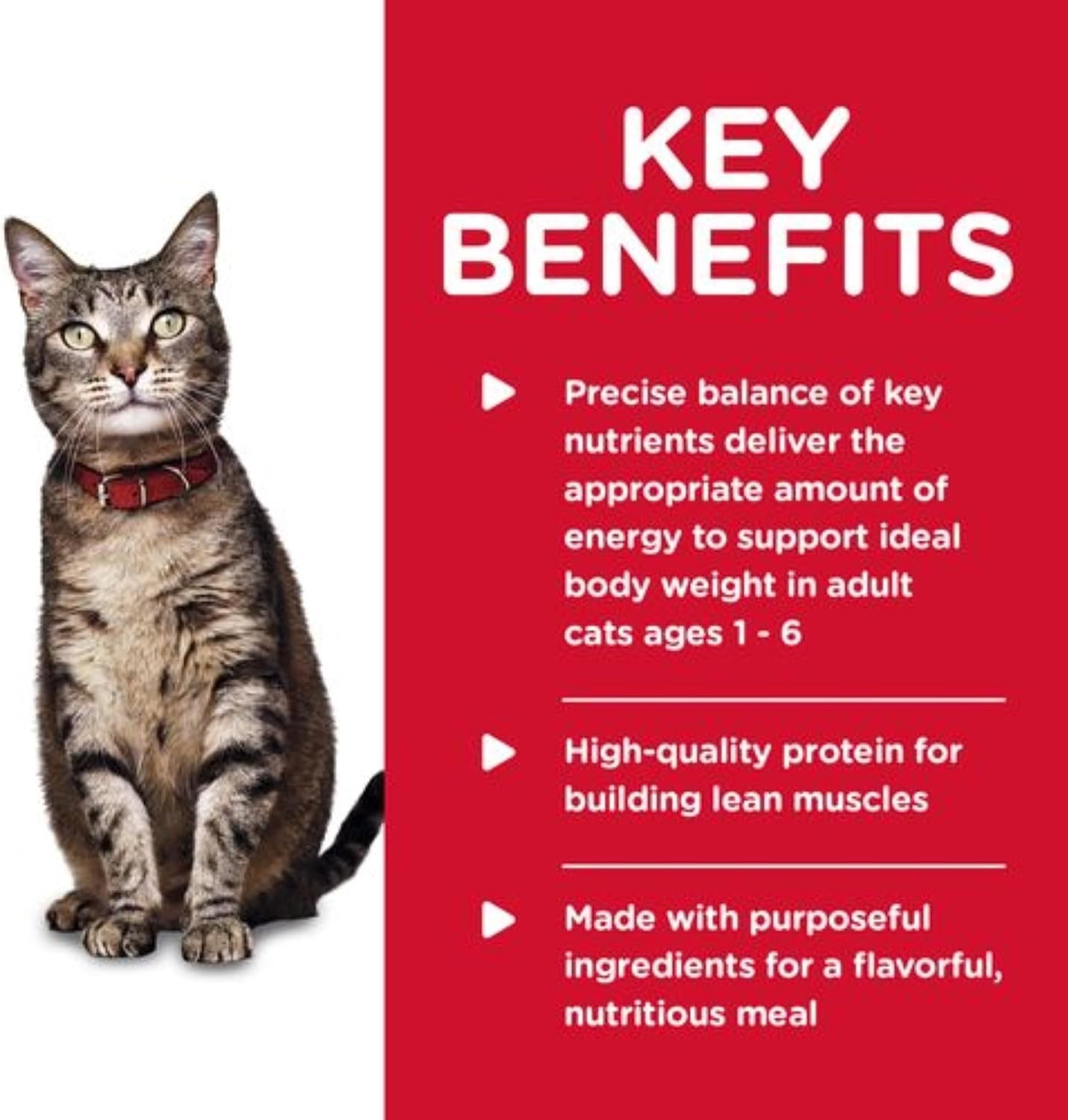 image:imageHills Science Diet Adult 16 Wet Cat Food Turkey 55 oz Cans 24PackOcean Fish Stew