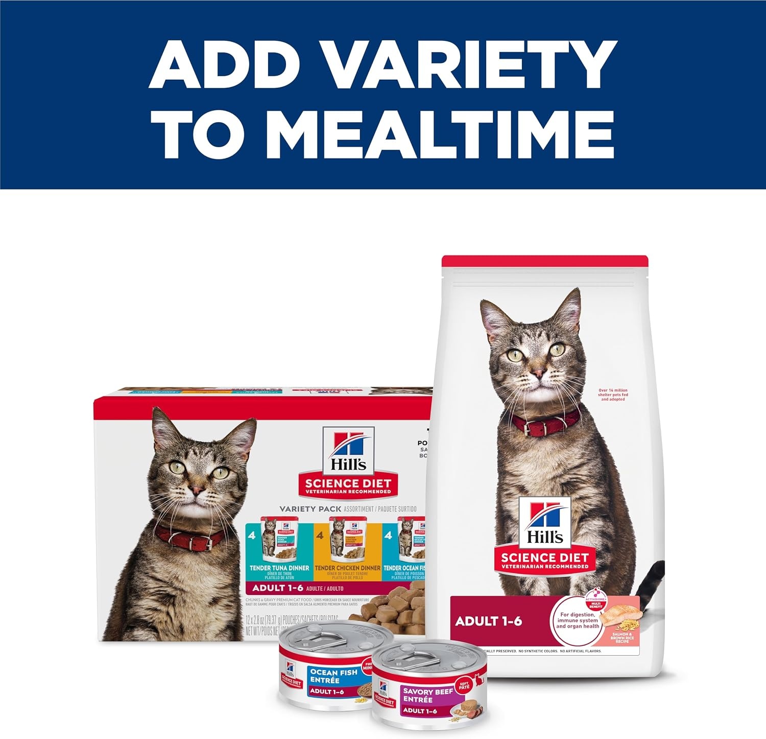 image:imageHills Science Diet Adult 16 Wet Cat Food Turkey 55 oz Cans 24PackSalmon Minced