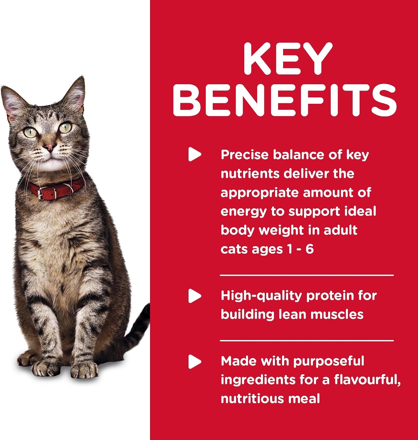 image:imageHills Science Diet Adult 16 Wet Cat Food Turkey 55 oz Cans 24PackTuna Stew