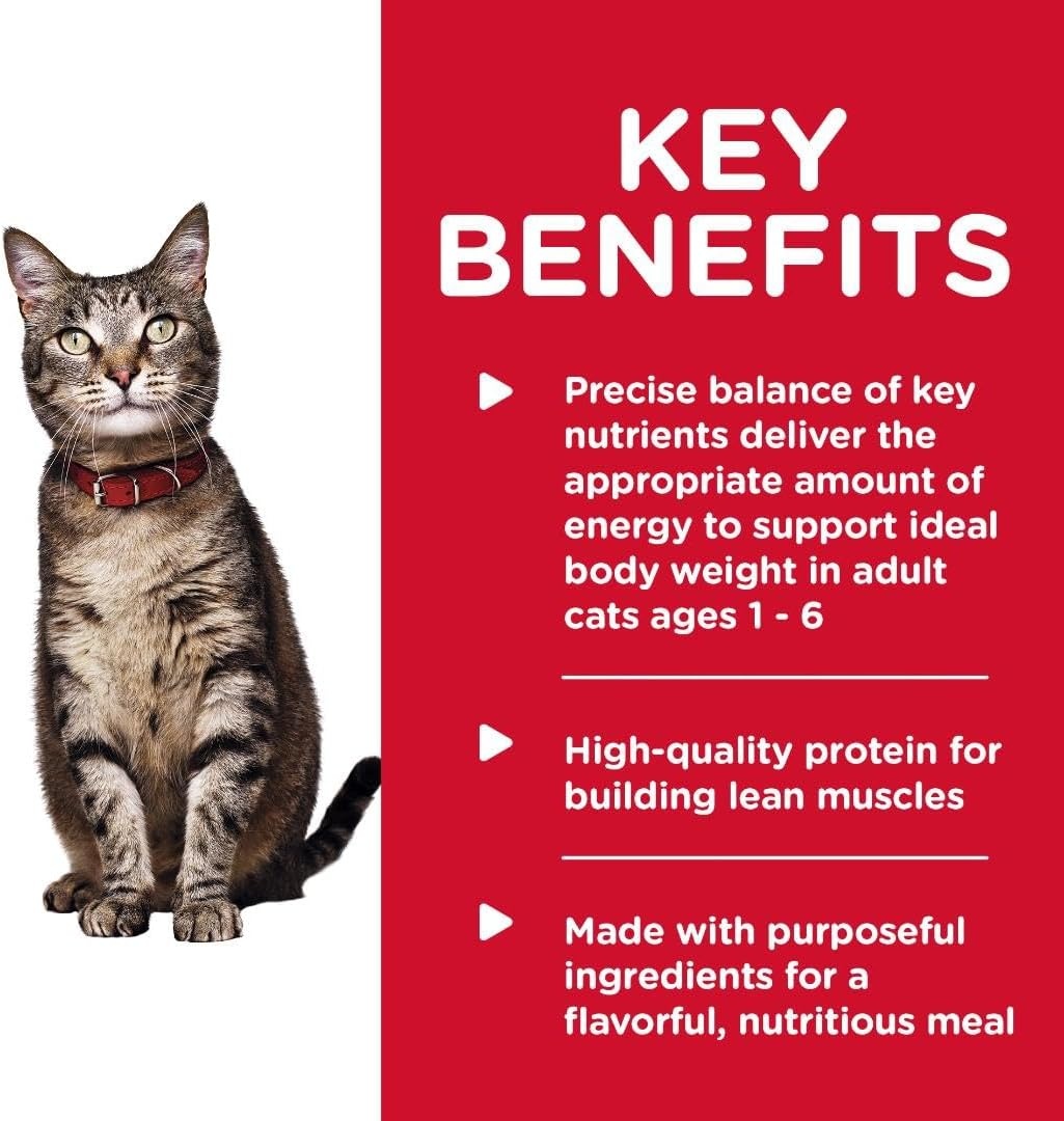 image:imageHills Science Diet Adult 16 Wet Cat Food Turkey 55 oz Cans 24PackTurkey Minced