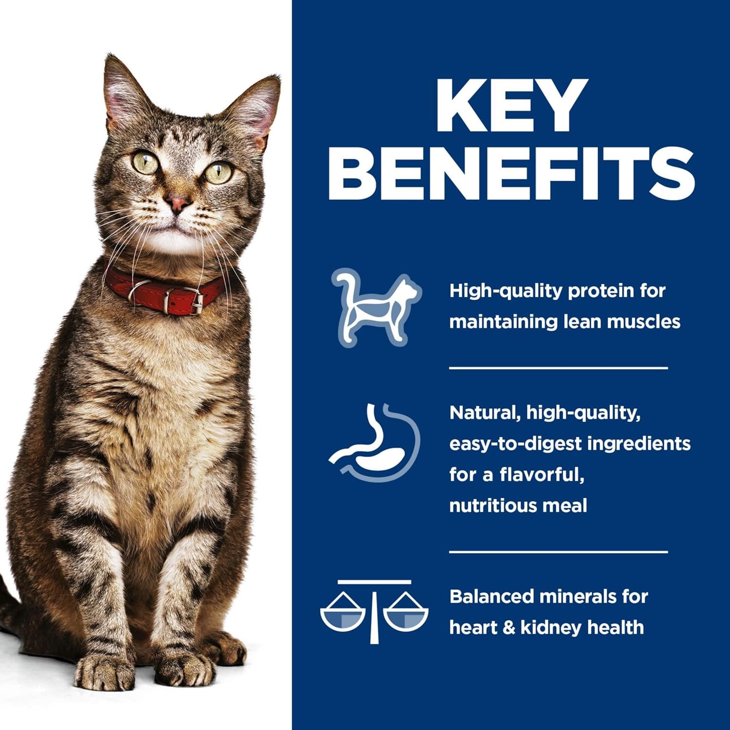 image:imageHills Science Diet Adult 16 Wet Cat Food Turkey 55 oz Cans 24PackVariety Pack Tuna Chicken Ocean Fish Stew