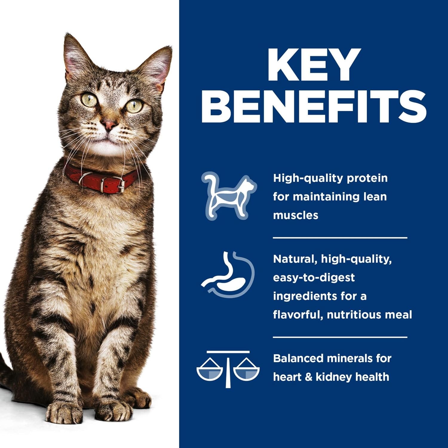 image:imageHills Science Diet Adult 16 Wet Cat Food Turkey 55 oz Cans 24PackVariety Pack Turkey Chicken Turkey Liver Minced