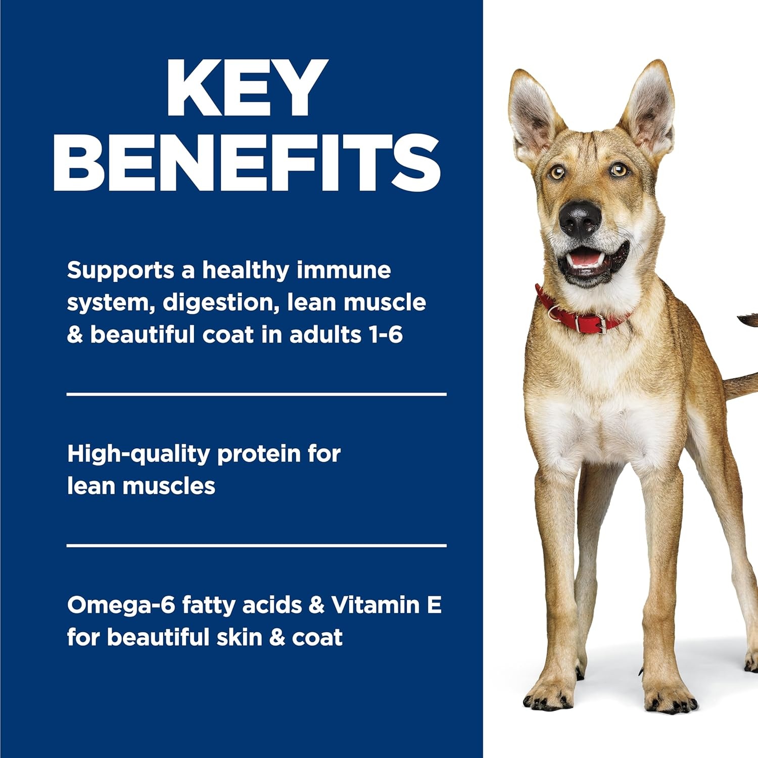 image:imageHills Science Diet Adult 16 Wet Dog Food Variety Pack Chicken amp Beef 13 oz Cans 12PackChicken Barley