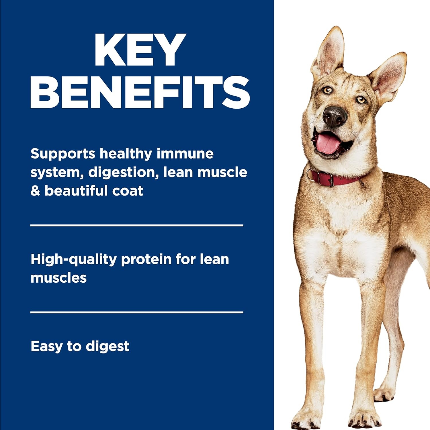 image:imageHills Science Diet Adult 16 Wet Dog Food Variety Pack Chicken amp Beef 13 oz Cans 12PackChicken Vegetables Stew