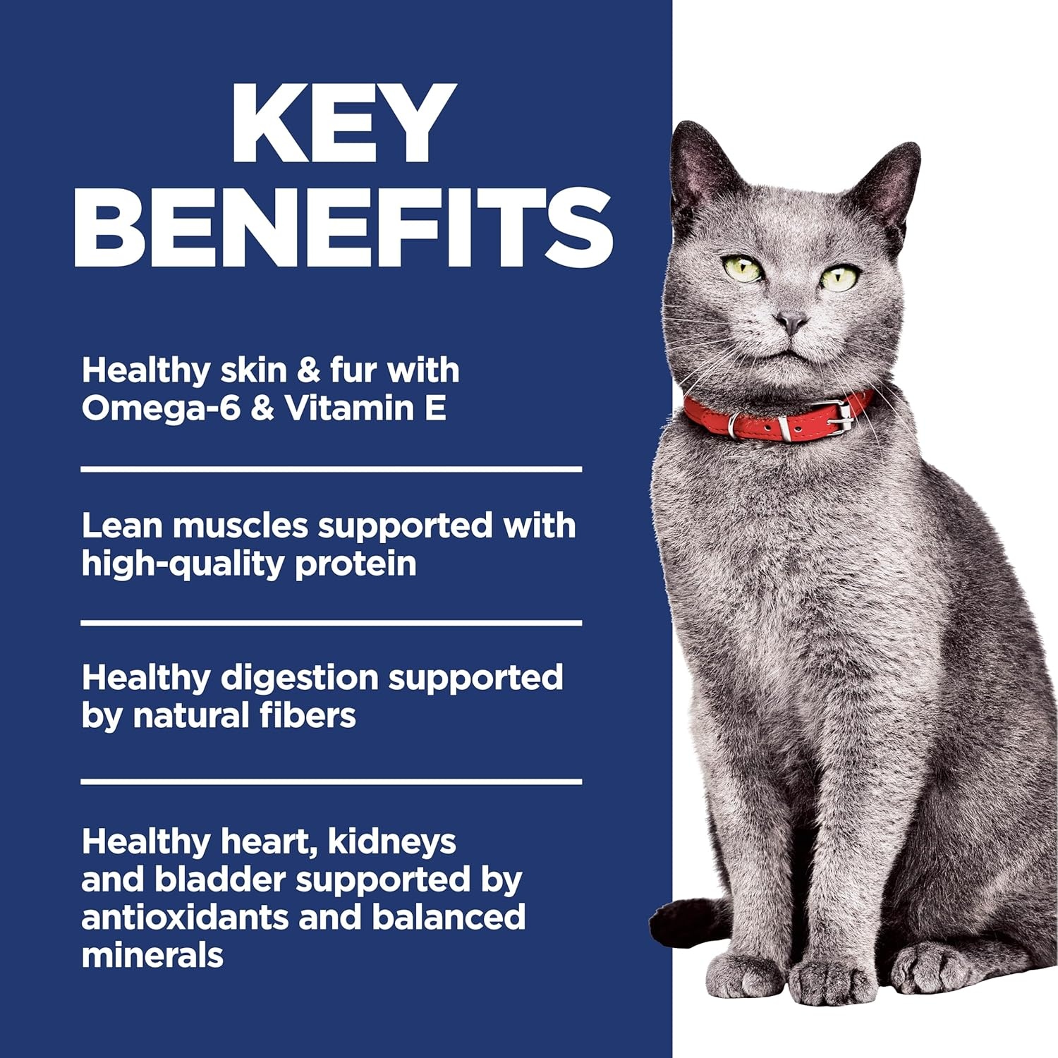 image:imageHills Science Diet Adult 7 Dry Cat Food Chicken 7 lb BagChicken Brown Rice