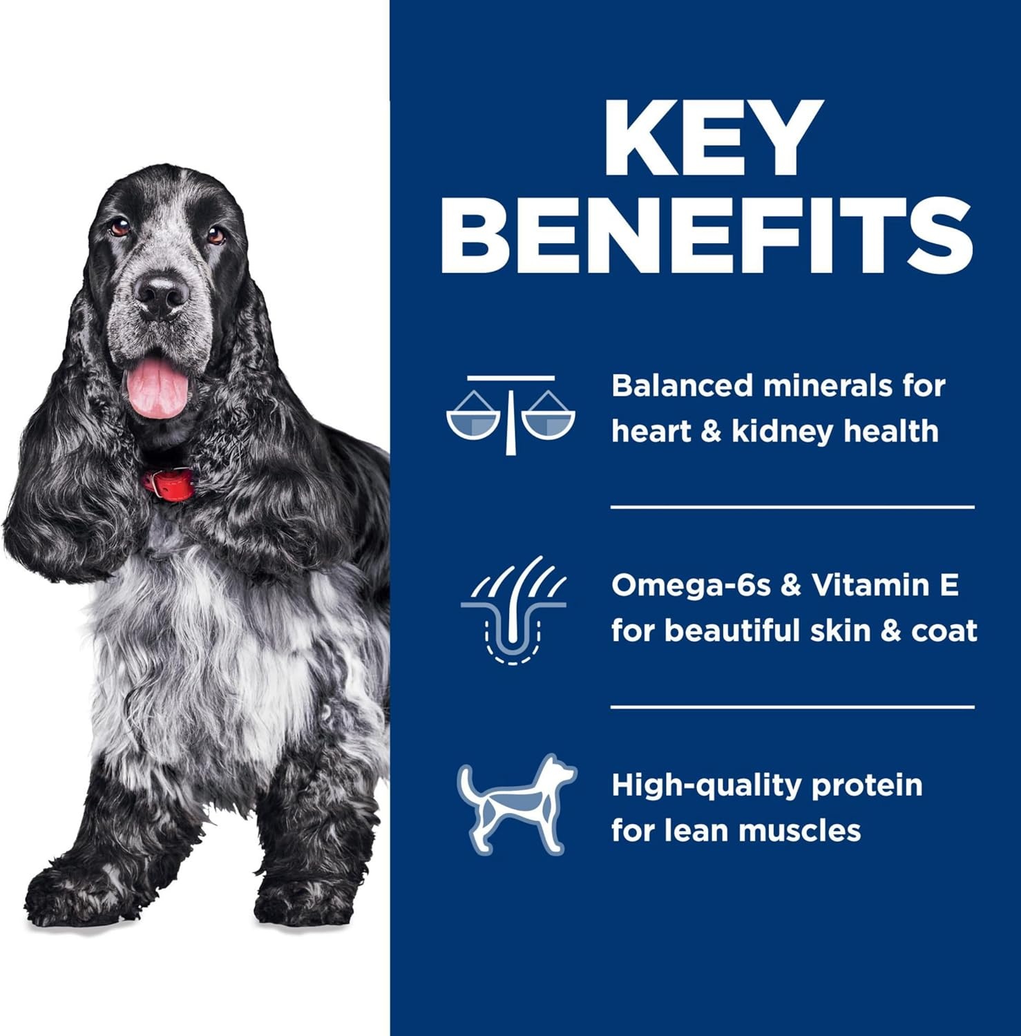 image:imageHills Science Diet Adult 7 Dry Dog Food Chicken Meal Barley amp Rice 33 lb Bag30 Pound Pack of 1