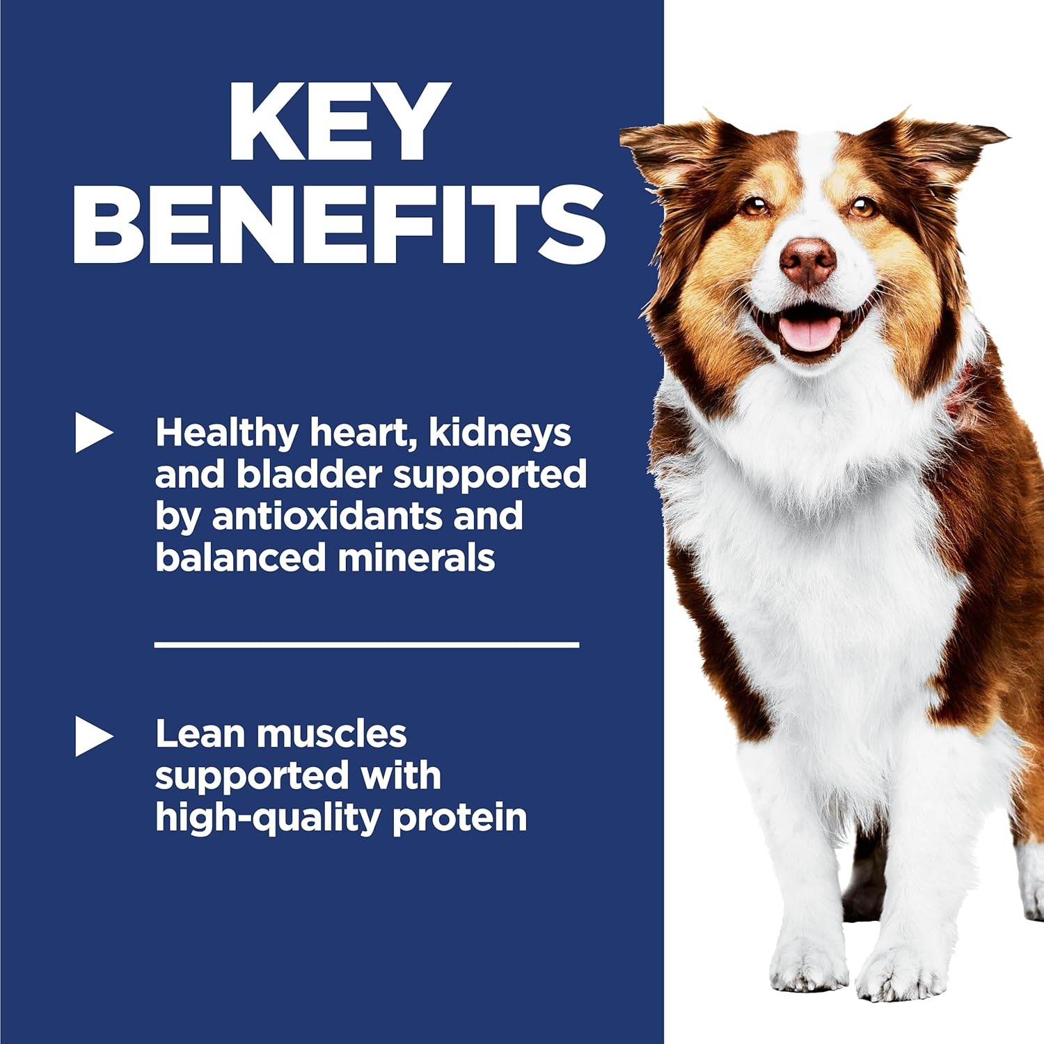 image:imageHills Science Diet Adult 7 Dry Dog Food Chicken Meal Barley amp Rice 33 lb Bag33 Pound Pack of 1