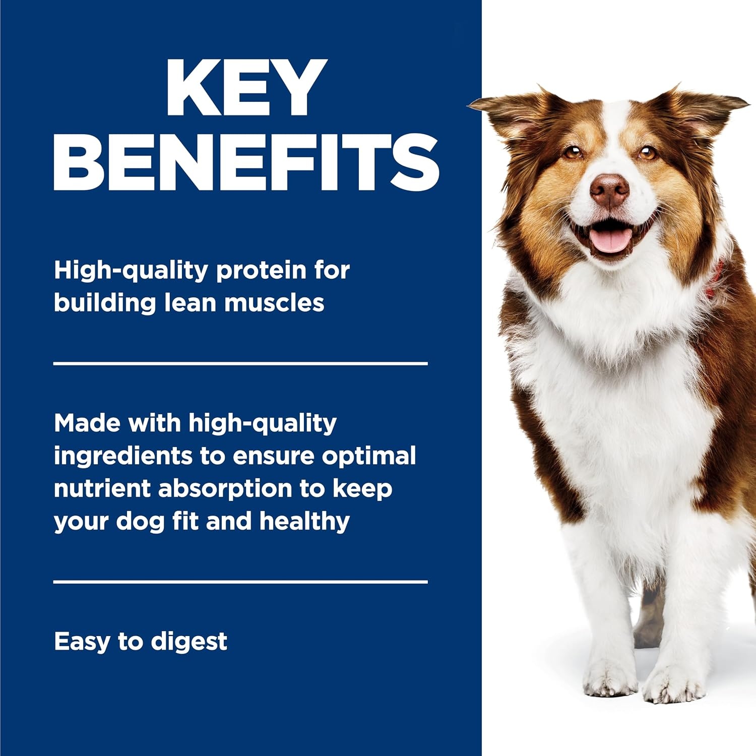 image:imageHills Science Diet Adult 7 Healthy Cuisine Wet Dog Food Roasted Chicken Carrots amp Spinach Stew 125 oz Cans 12PackRoasted Chicken Carrots Spinach Stew