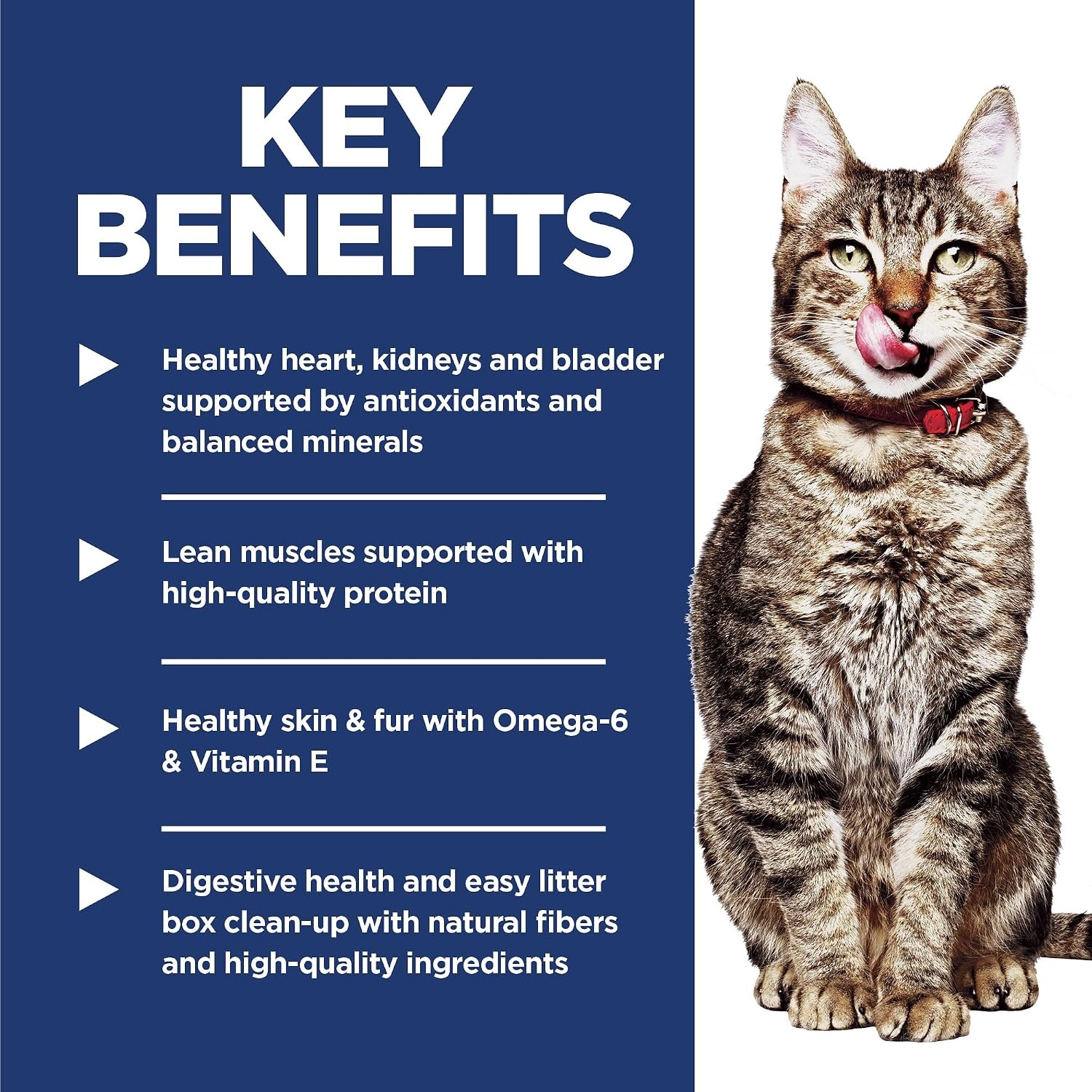image:imageHills Science Diet Adult 7 Indoor Dry Cat Food Chicken 7 lb BagChicken