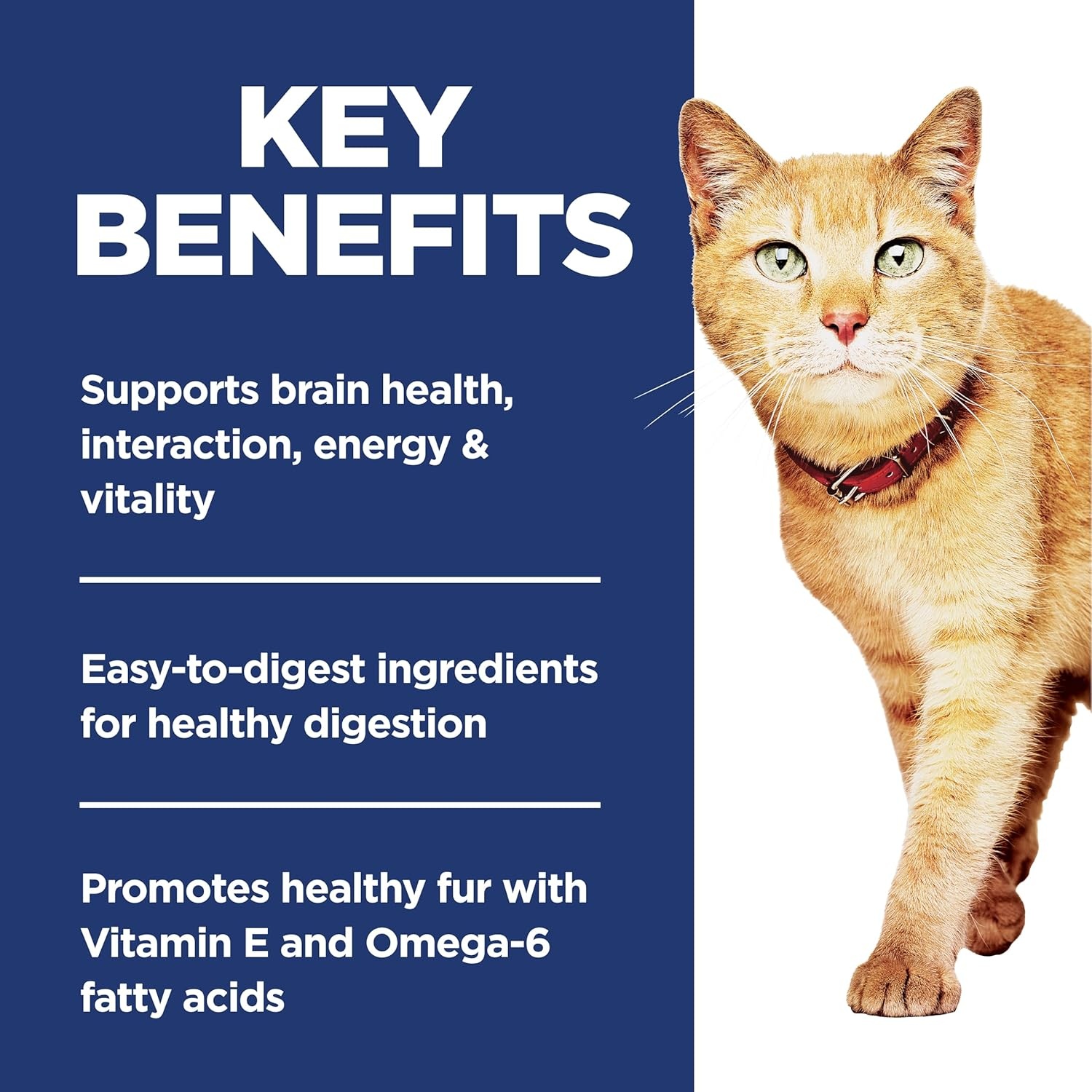 image:imageHills Science Diet Adult 7 Senior Vitality Chicken amp Rice Recipe Dry Cat Food 13 lbsChicken Rice