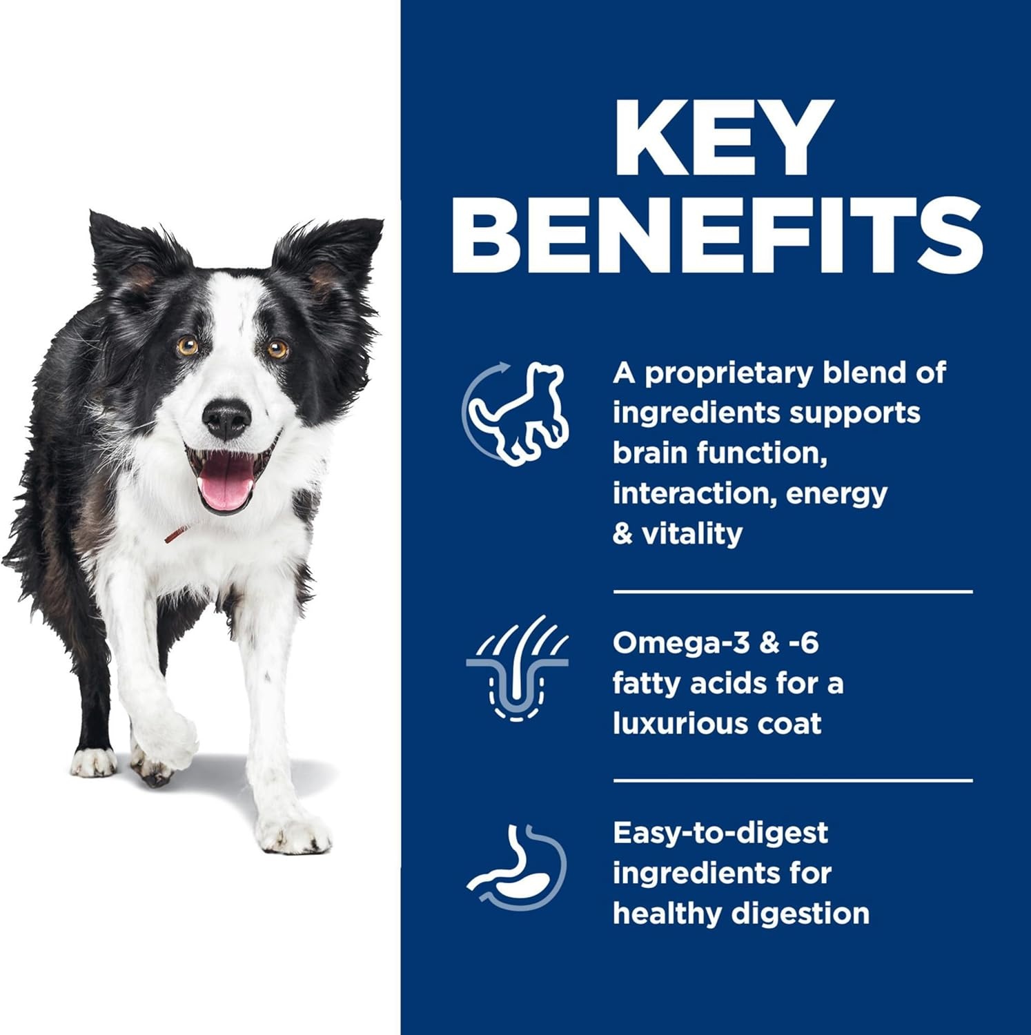 image:imageHills Science Diet Adult 7 Senior Vitality Dry Dog Food Chicken amp Rice 125 lb Bag125 Pound Pack of 1