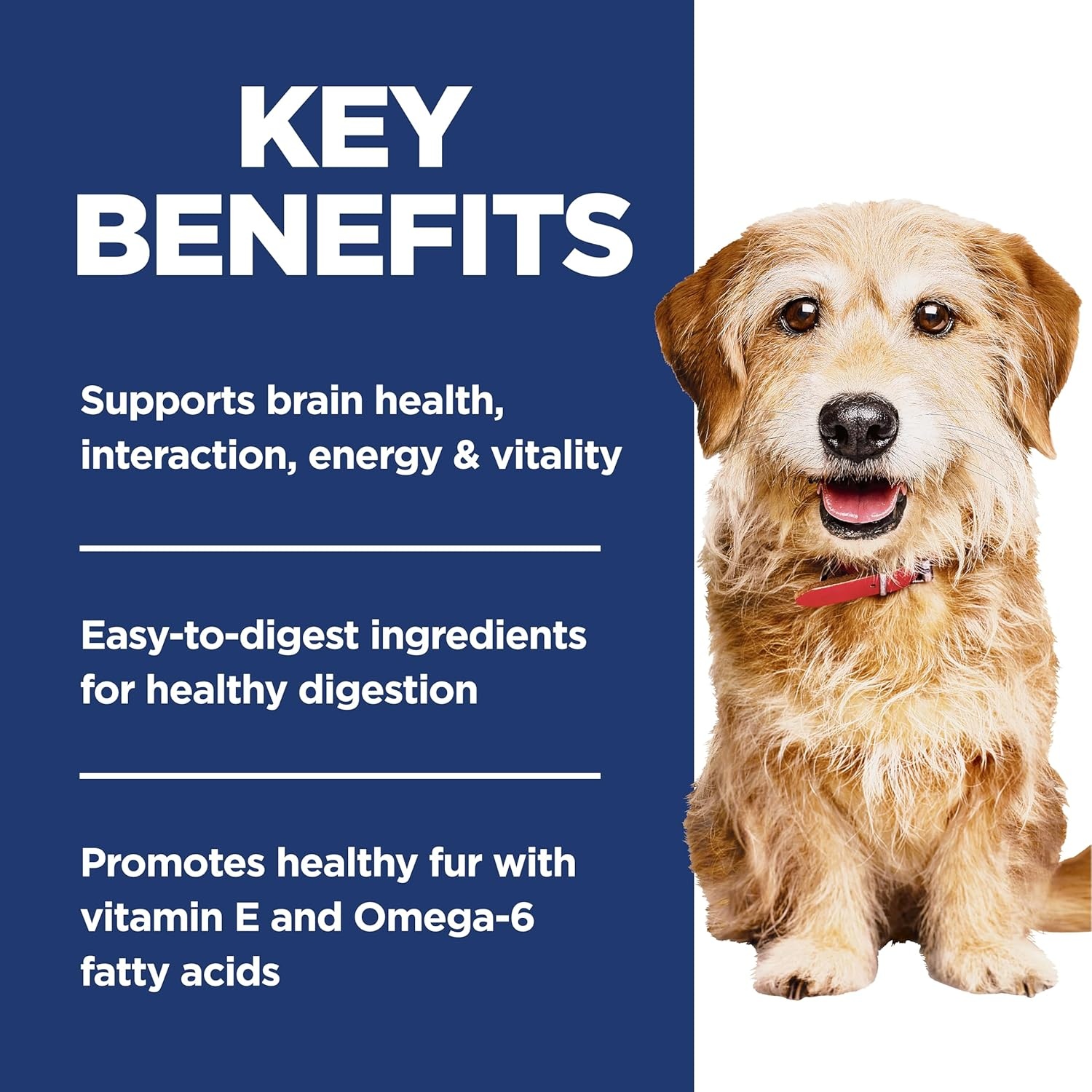 image:imageHills Science Diet Adult 7 Senior Vitality Small amp Mini Dry Dog Food Chicken amp Rice 35 lb BagChicken Rice