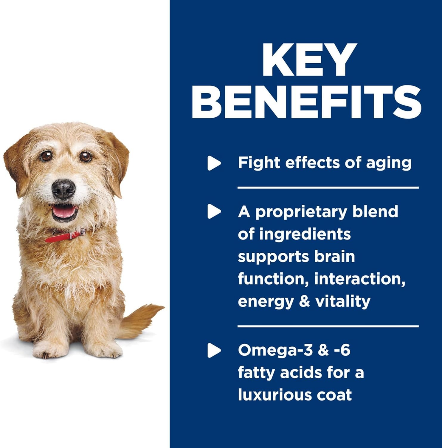 image:imageHills Science Diet Adult 7 Senior Vitality Small amp Mini Wet Dog Food Chicken amp Vegetable Stew 55 oz Cans 24Pack