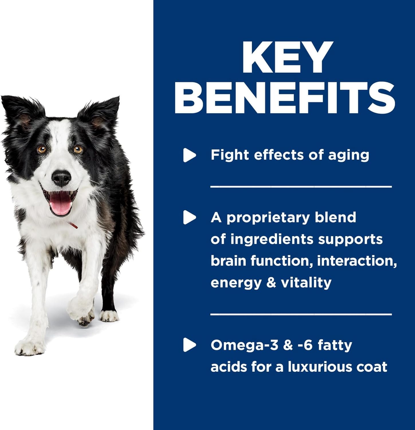 image:imageHills Science Diet Adult 7 Senior Vitality Wet Dog Food Chicken amp Vegetable Stew 125 oz Cans 12Pack125 Ounce Pack of 12