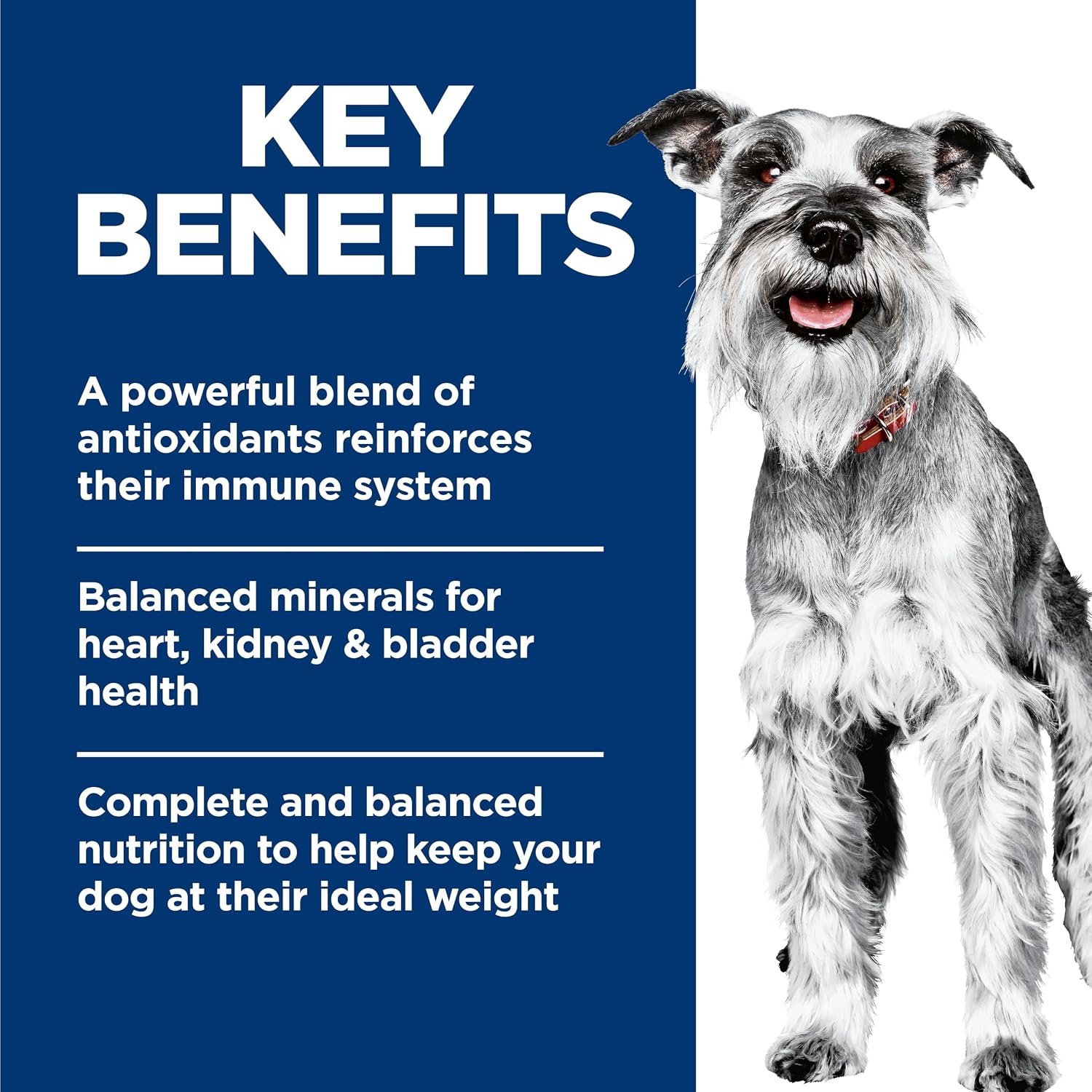 image:imageHills Science Diet Adult 7 Small amp Mini Wet Dog Food Chicken amp Vegetables 35 oz Trays 12PackChicken Barley