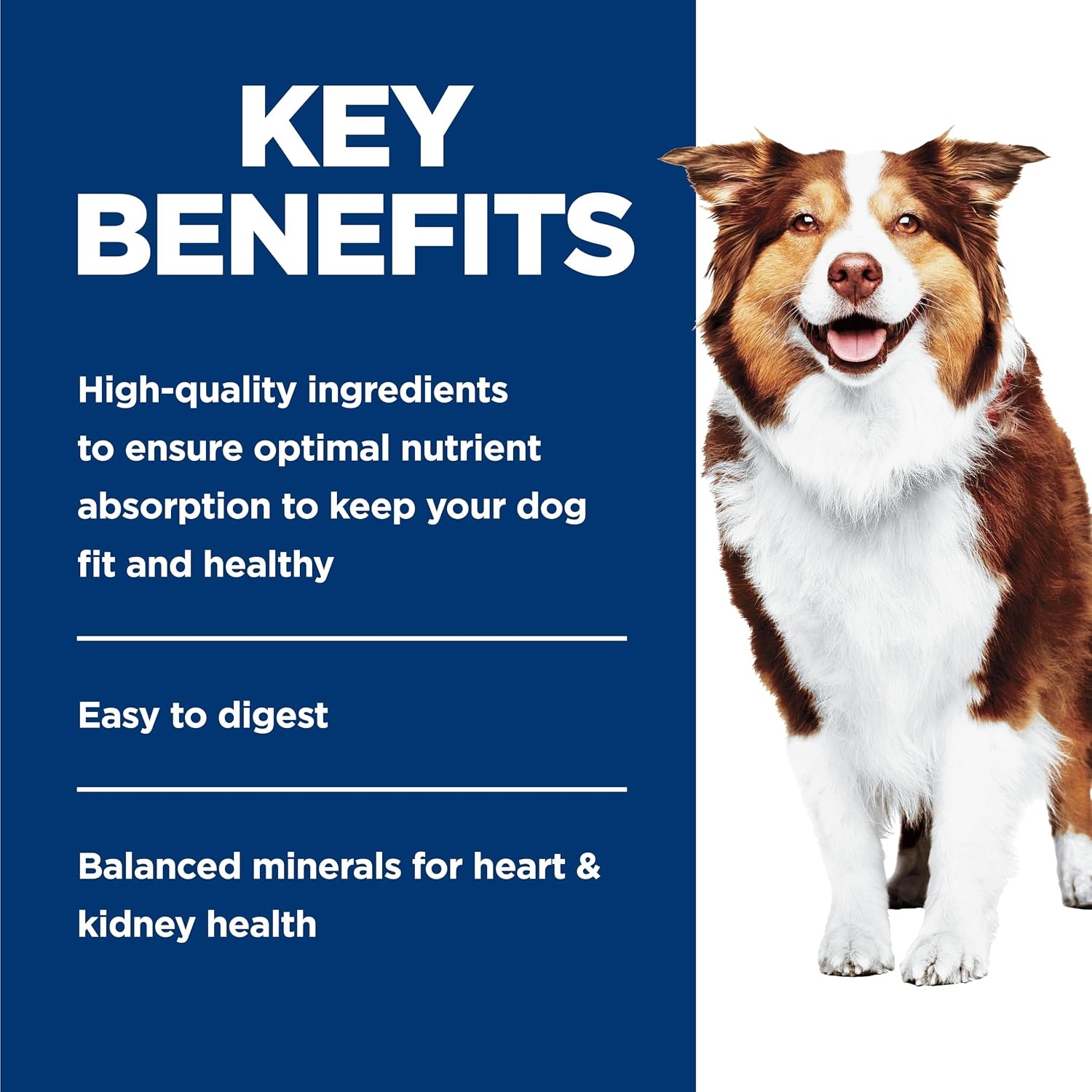 image:imageHills Science Diet Adult 7 Wet Dog Food Chicken amp Barley 13 oz Cans 12PackBeef Barley Loaf