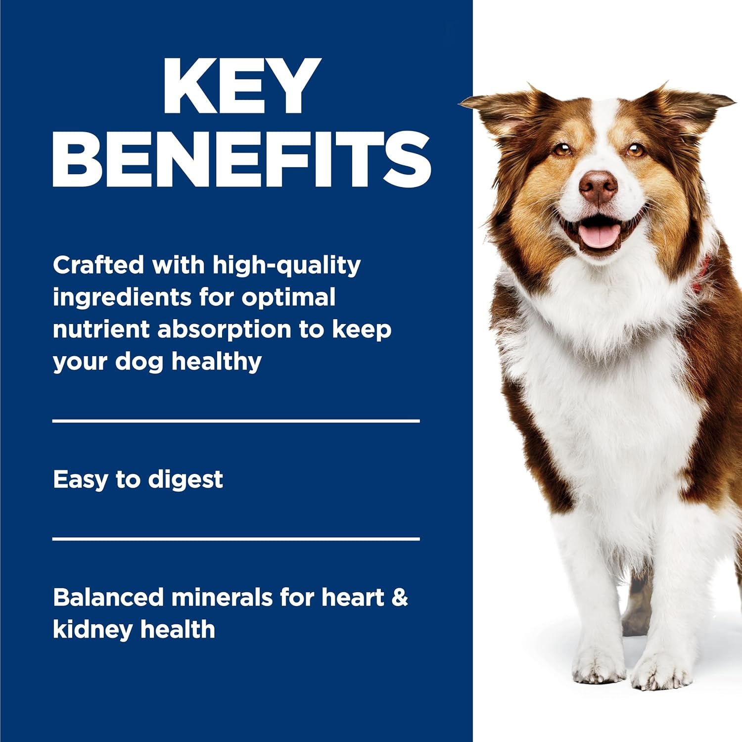 image:imageHills Science Diet Adult 7 Wet Dog Food Chicken amp Barley 13 oz Cans 12PackChicken Barley Loaf