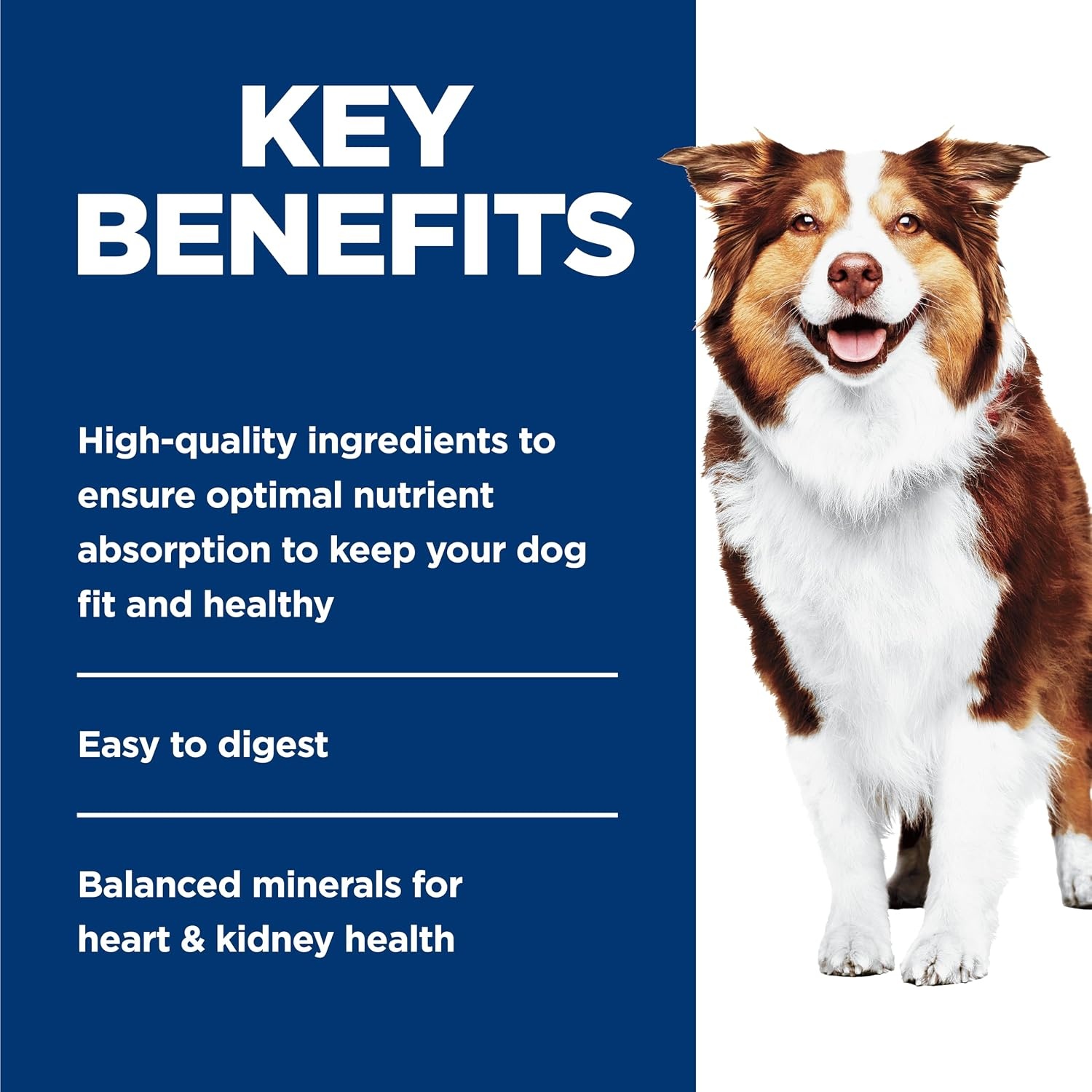 image:imageHills Science Diet Adult 7 Wet Dog Food Chicken amp Barley 13 oz Cans 12PackTurkey Barley Loaf