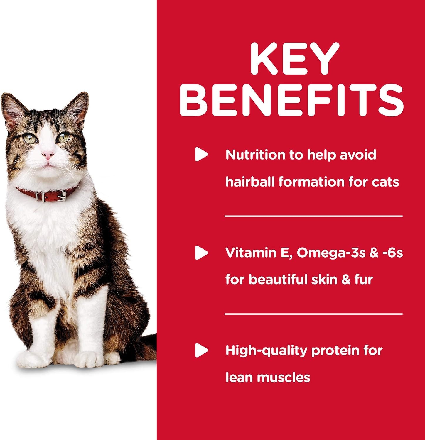 image:imageHills Science Diet Adult Hairball Control Wet Cat Food Ocean Fish Entre 55 oz Cans 24PackOcean Whitefish