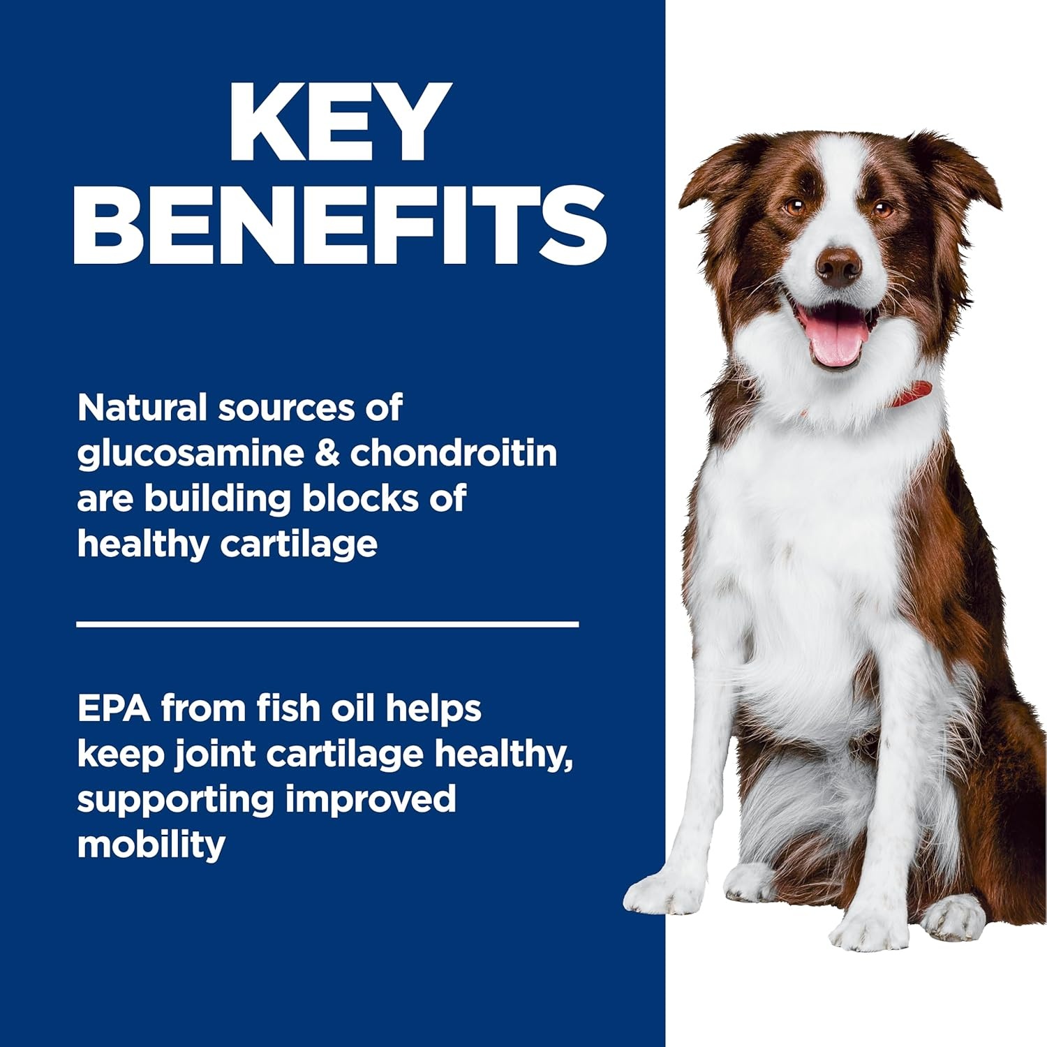 image:imageHills Science Diet Adult Healthy Mobility Large Breed Dry Dog Food Chicken Meal Brown Rice amp Barley 30 lb Bag