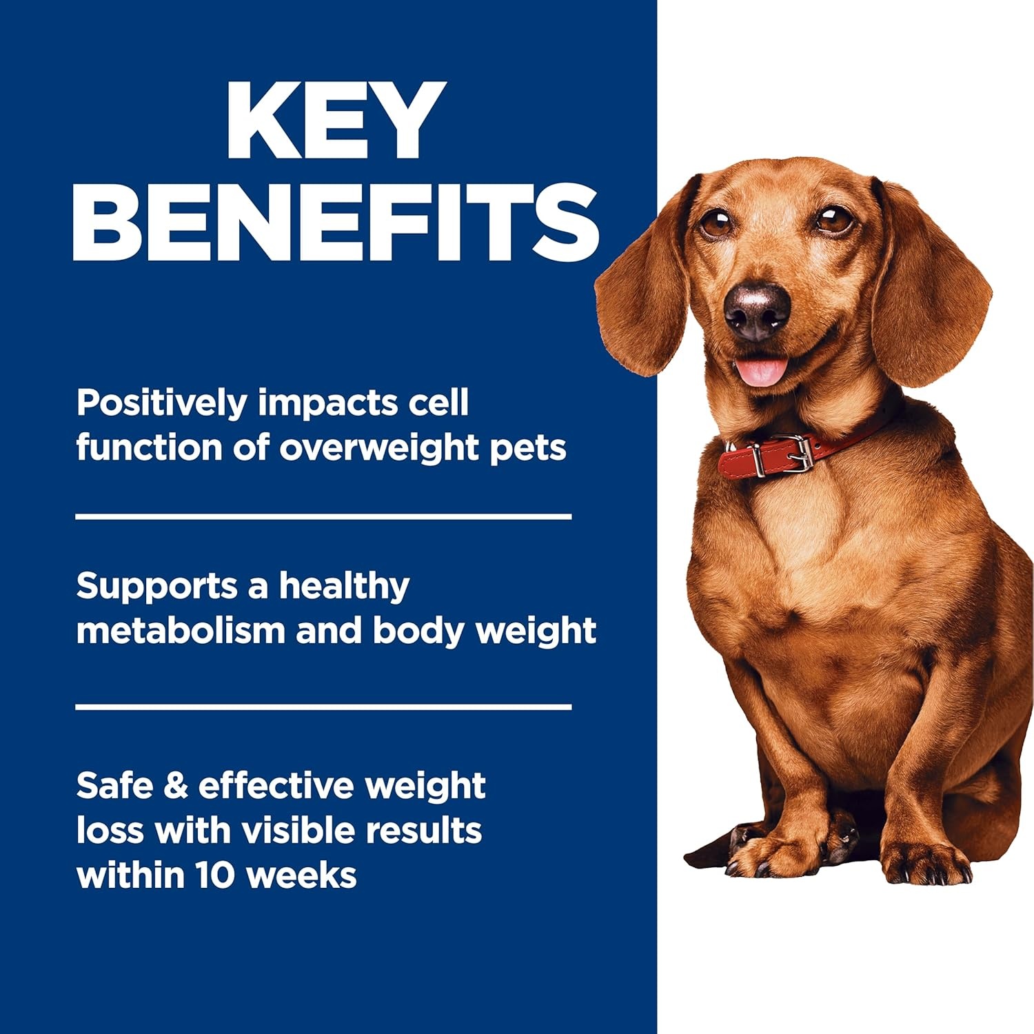 image:imageHills Science Diet Adult Perfect Weight Small amp Mini Dry Dog Food Chicken 125 lb BagChicken