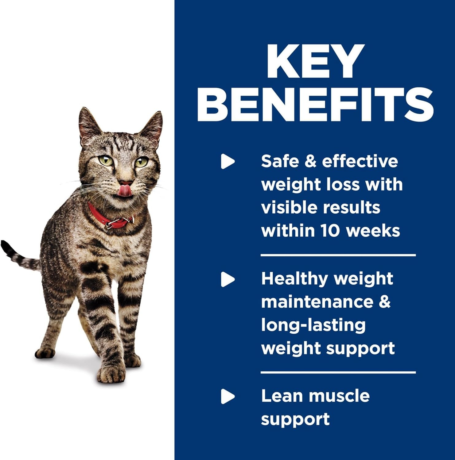 image:imageHills Science Diet Adult Perfect Weight Wet Cat Food Vegetable amp Salmon 29 oz Cans 24PackChicken Roasted Vegetables Stew