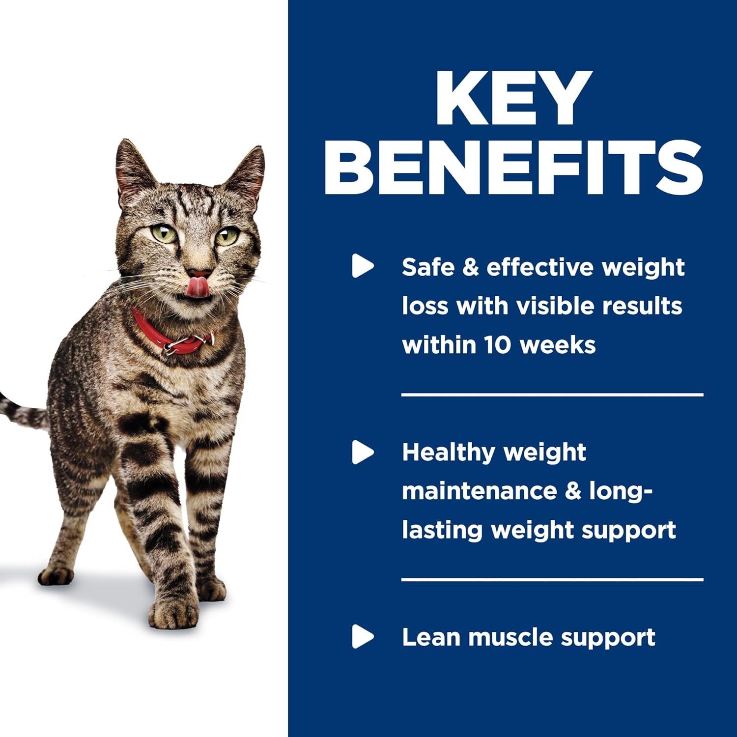 image:imageHills Science Diet Adult Perfect Weight Wet Cat Food Vegetable amp Salmon 29 oz Cans 24PackLiver Chicken Minced
