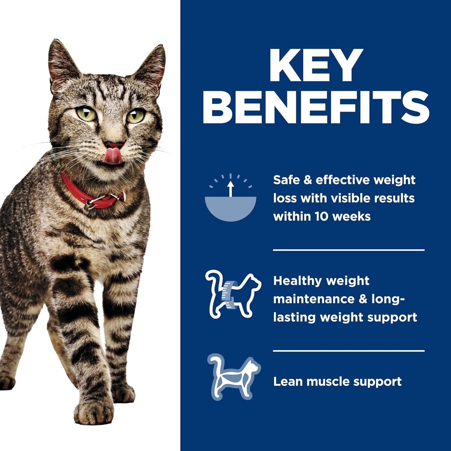 image:imageHills Science Diet Adult Perfect Weight Wet Cat Food Vegetable amp Salmon 29 oz Cans 24PackSalmon Vegetables Stew