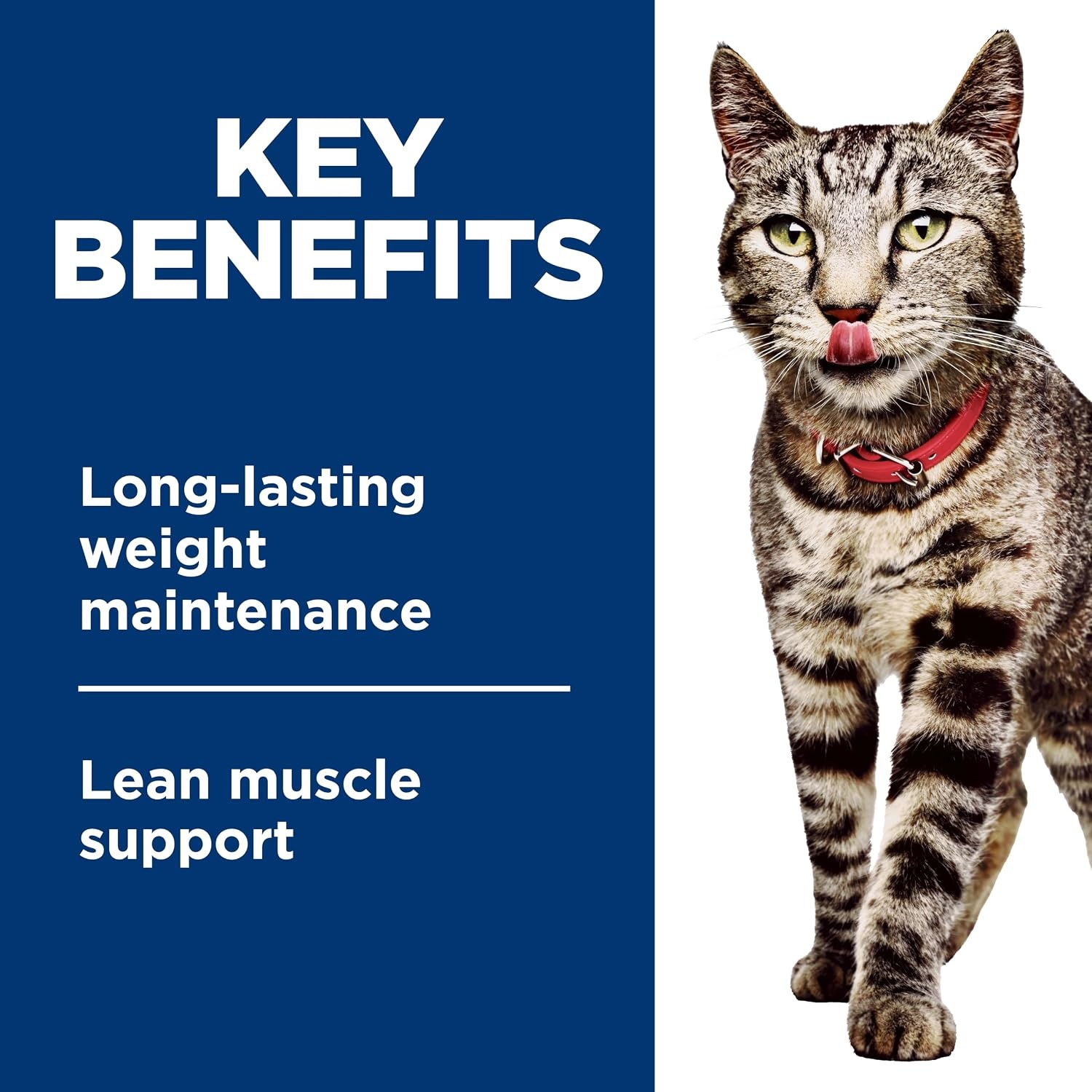image:imageHills Science Diet Adult Perfect Weight Wet Cat Food Vegetable amp Salmon 29 oz Cans 24PackVariety Pack Chicken Turkey Salmon