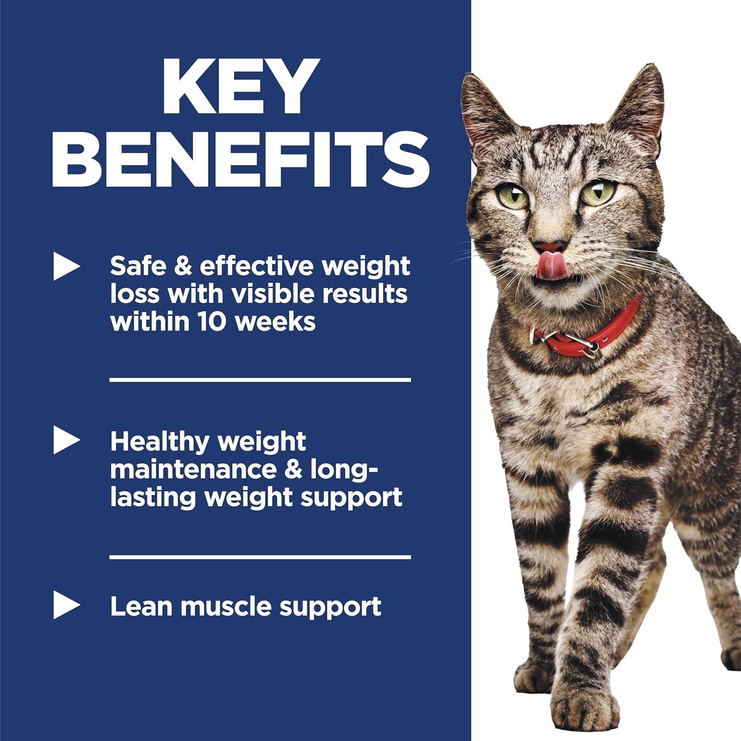 image:imageHills Science Diet Adult Perfect Weight Wet Cat Food Vegetables amp Salmon Stew 28 oz Pouches 24PackChicken Vegetables Stew