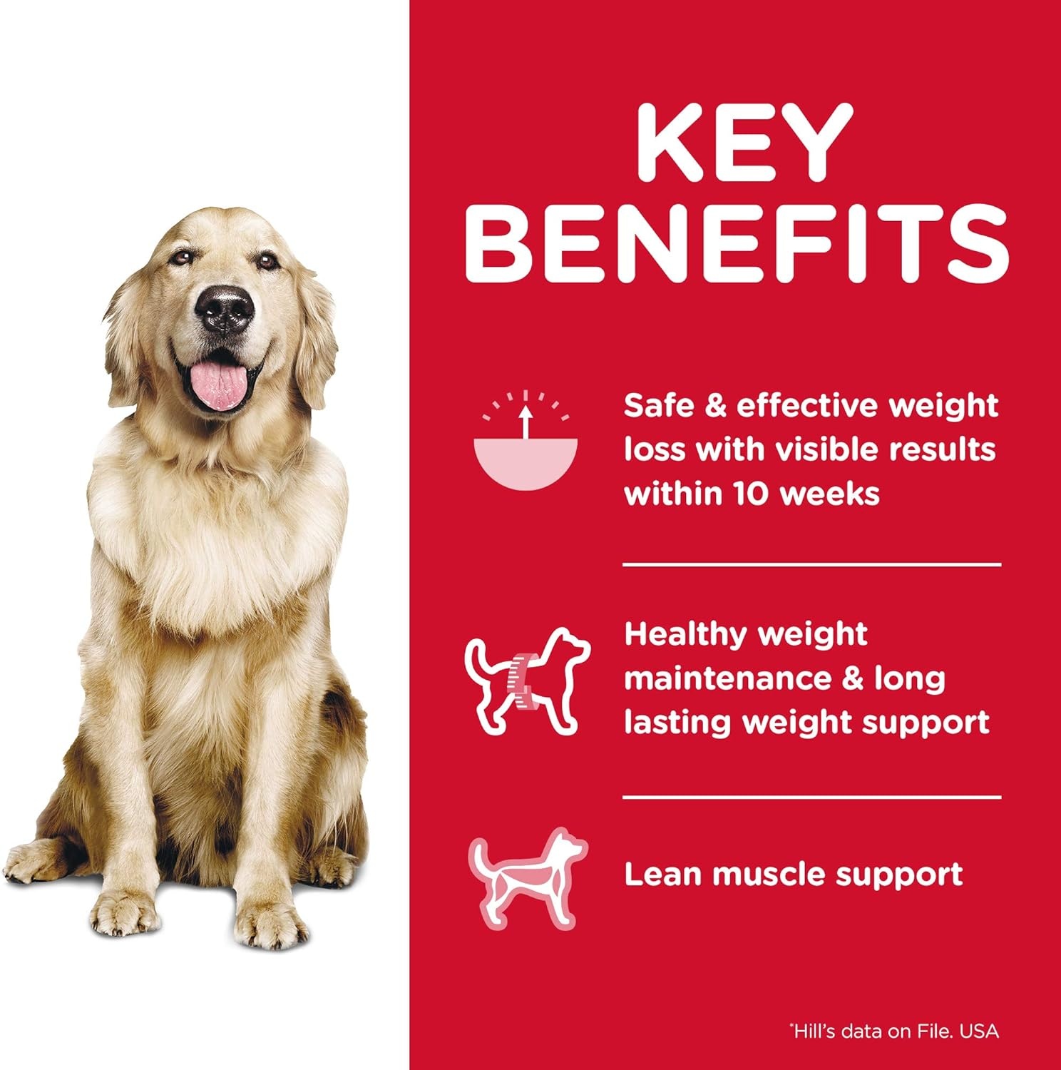 image:imageHills Science Diet Adult Perfect Weight Wet Dog Food Hearty Vegetable amp Chicken Stew 125 oz Cans 12PackChicken Vegetables Loaf